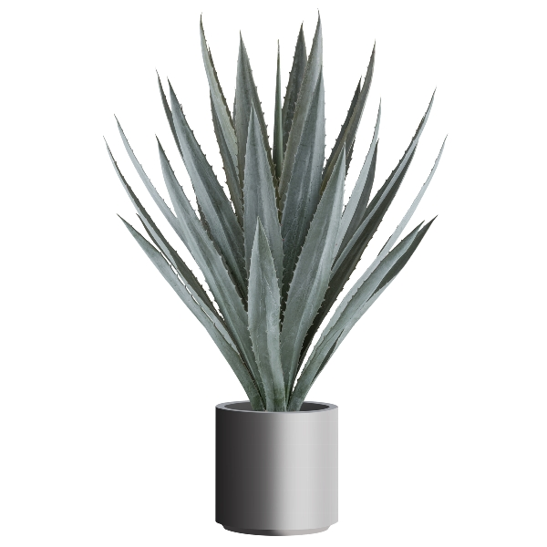 Gasper Kunstpflanzen Agave / H: 110 cm  | Schubiger Möbel