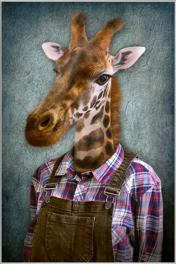 image LAND Bild mit Rahmen Giraffe mit Latzhose  | Schubiger Möbel