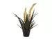 Kunstpflanze Aloe mit Gelber Blüte H: 70 cm Edg / Farbe: Gelb