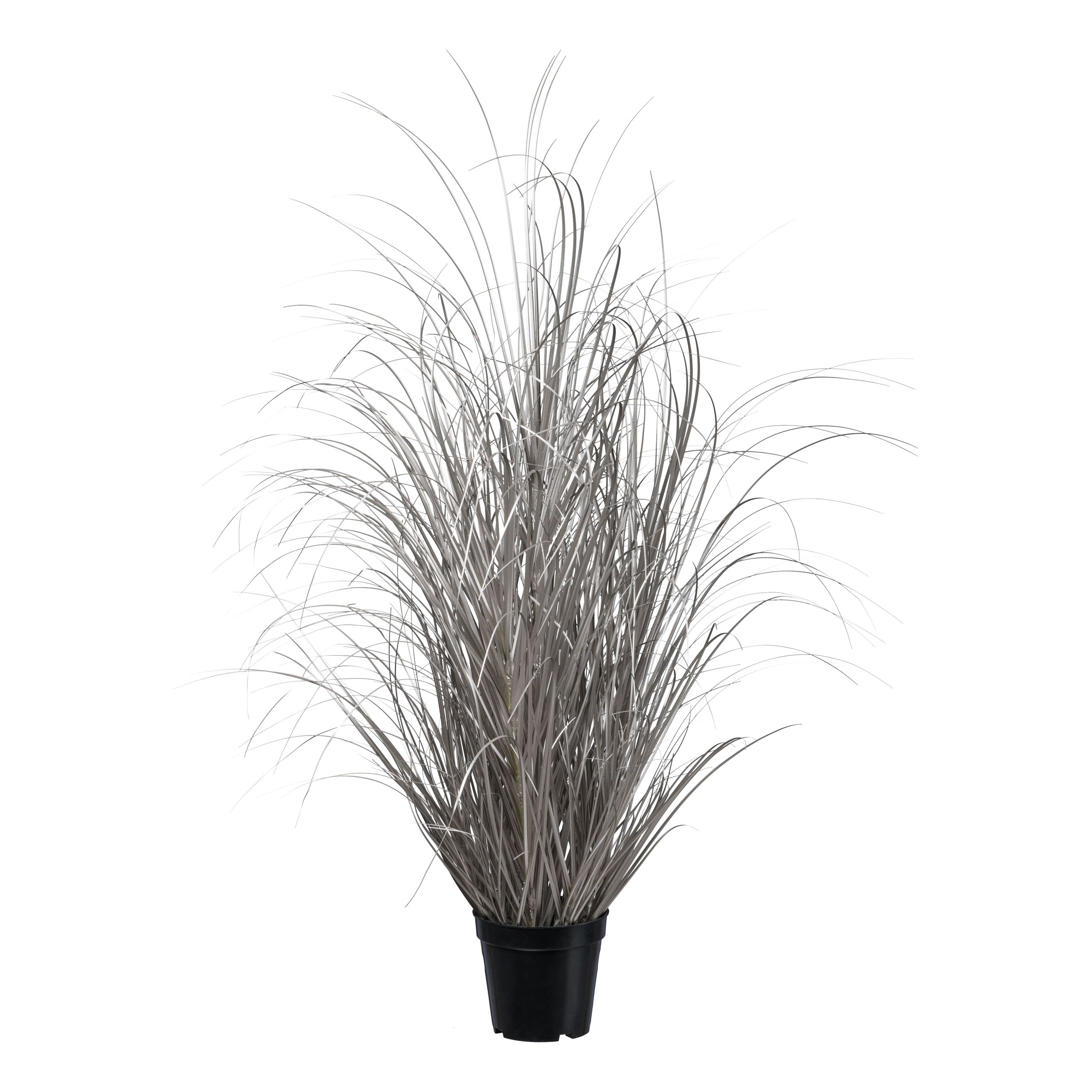 Gasper Kunstpflanzen Gras im Topf, Champagner H: 93 cm  | Schubiger Möbel
