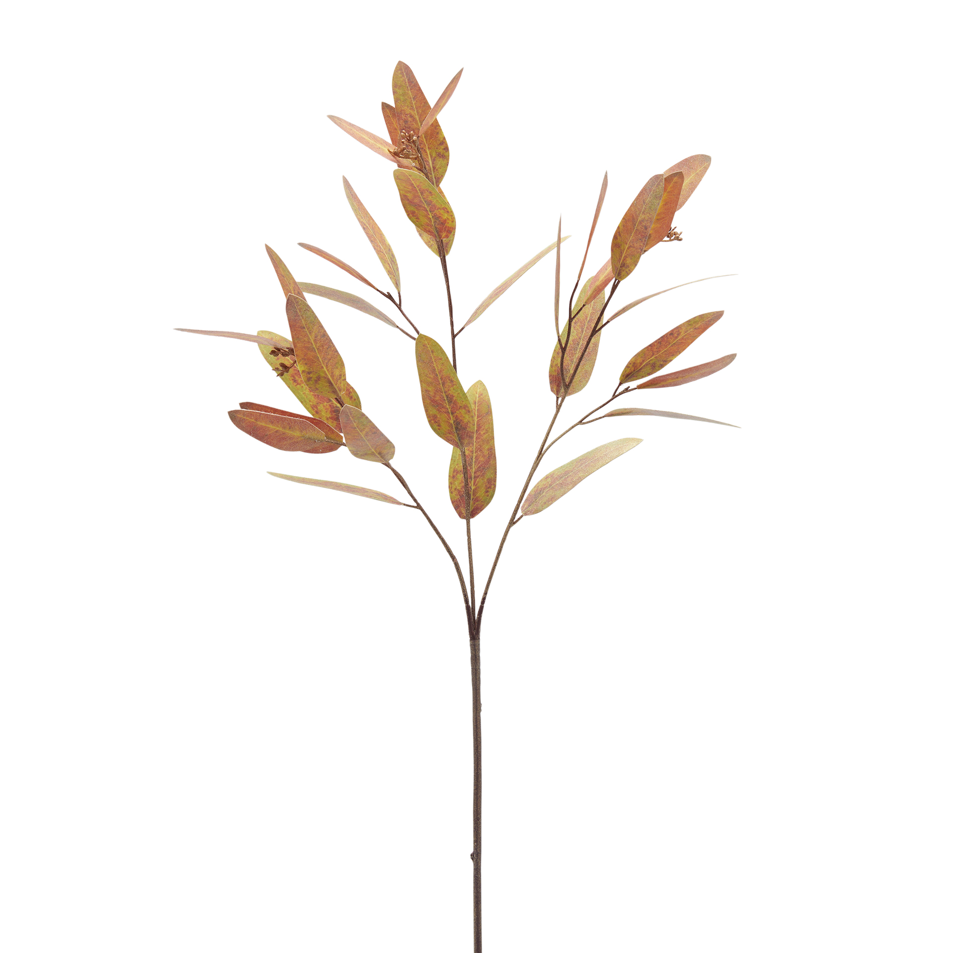 Edg Kunstblumen Eukalyptus Grün,braun Braun | Schubiger Möbel