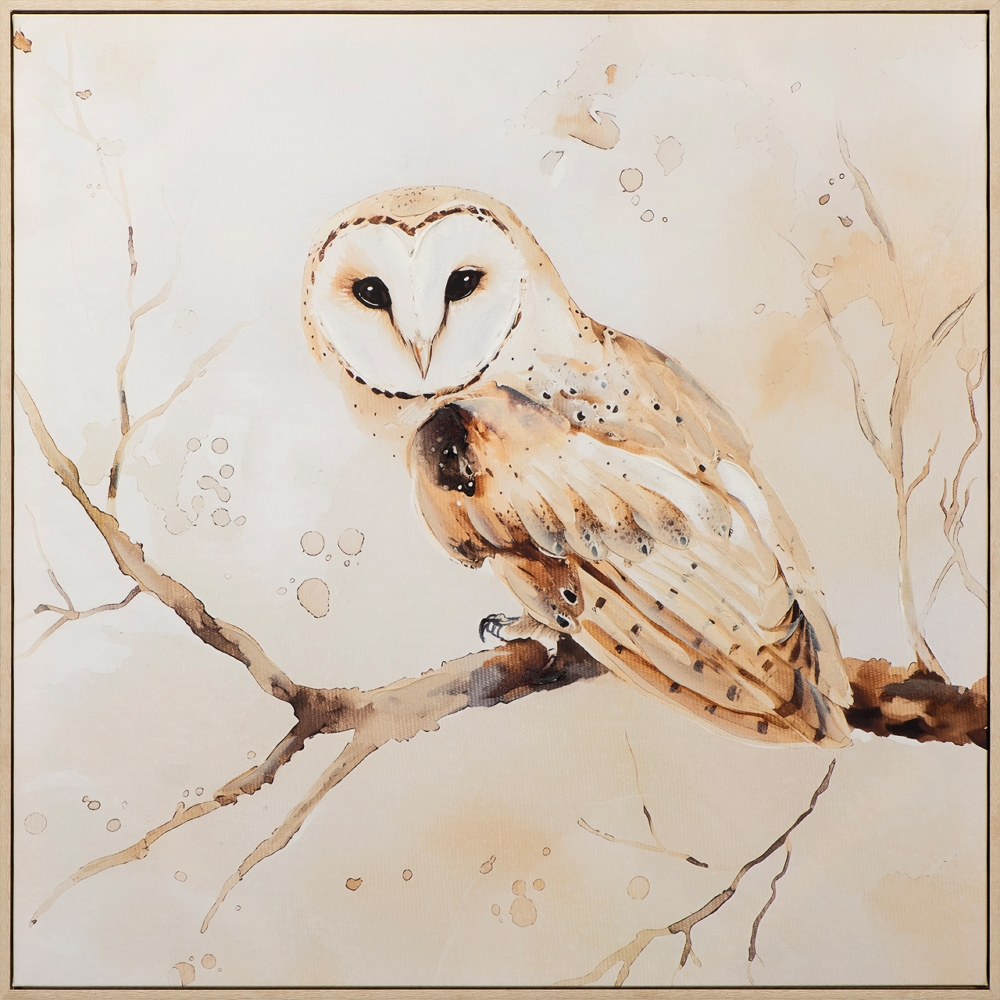 Bild Natural Barn Owl image LAND / Grösse: 80 x 80 cm