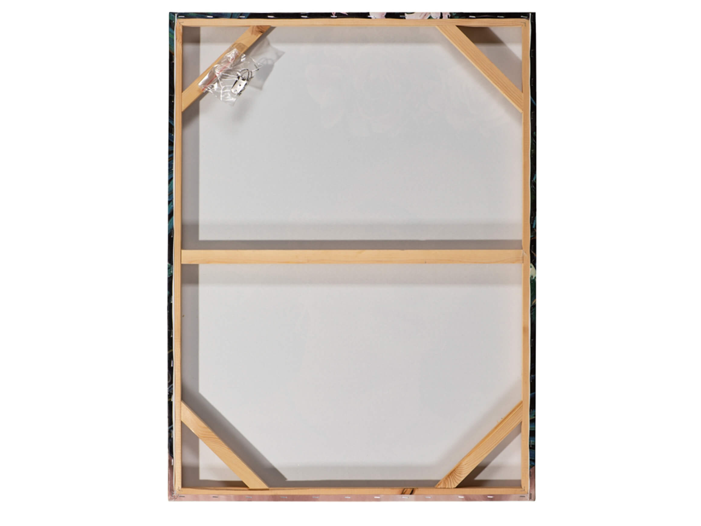 Bild Schönheit mit Rotem Umhang image LAND