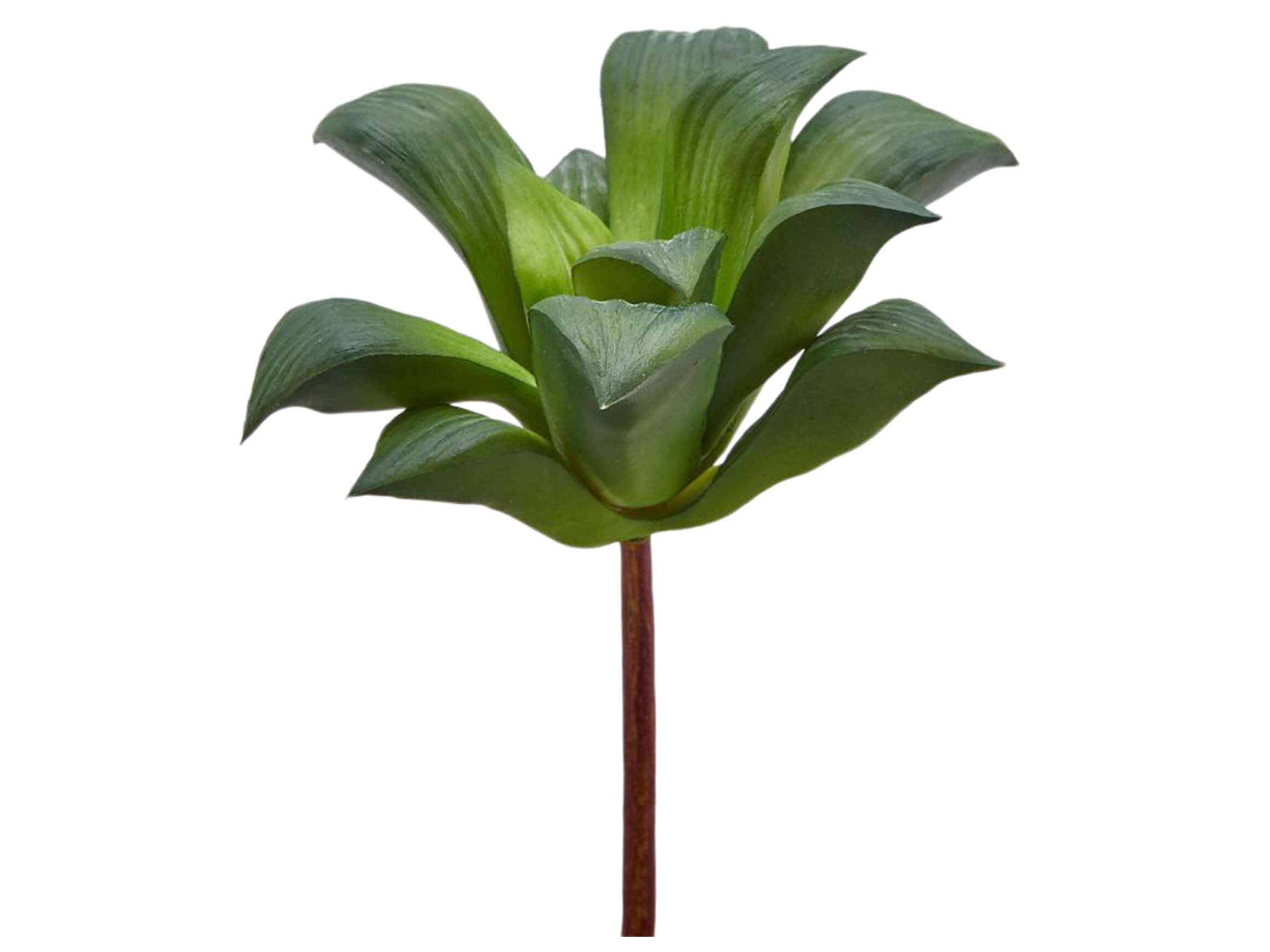 Kunstblume Agave Klein Grün H: 16 cm Edg / Farbe: Grün