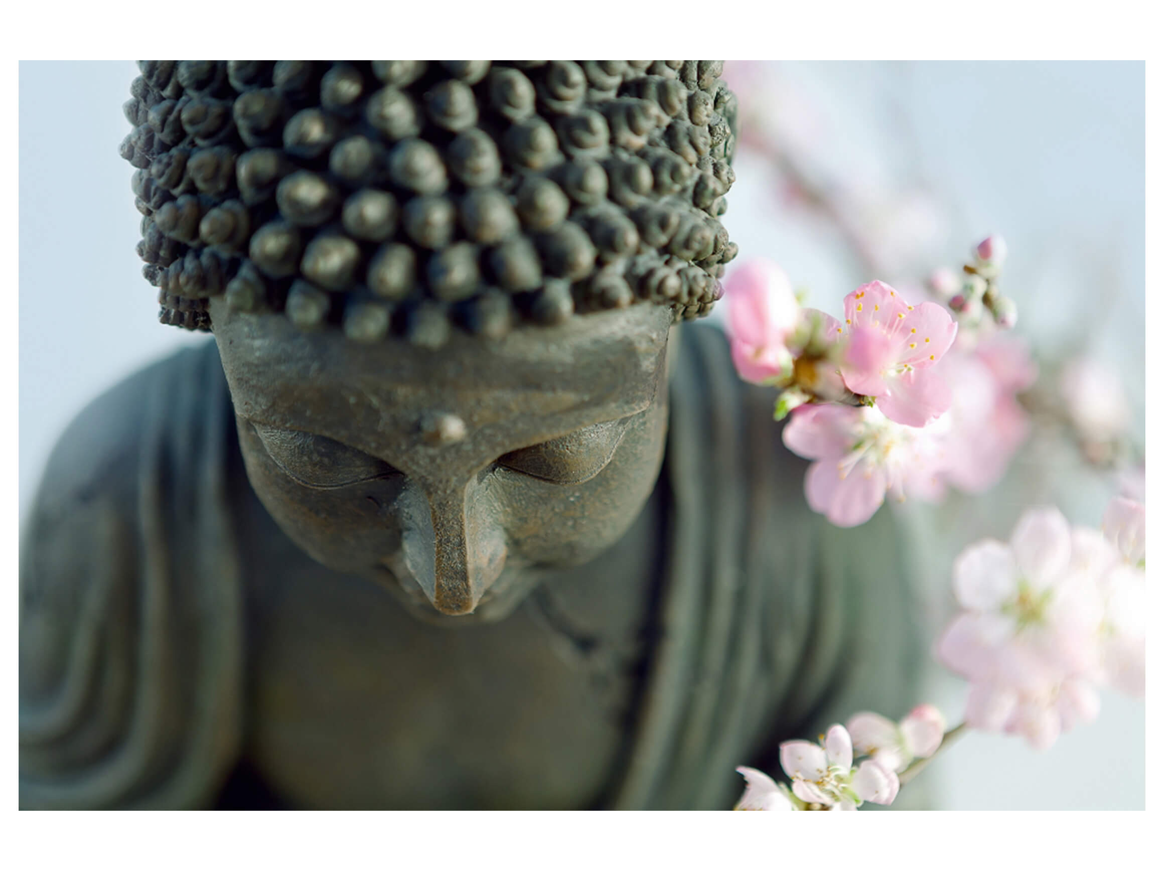 Digitaldruck auf Acrylglas Buddha image LAND / Grösse: 120 x 80 cm