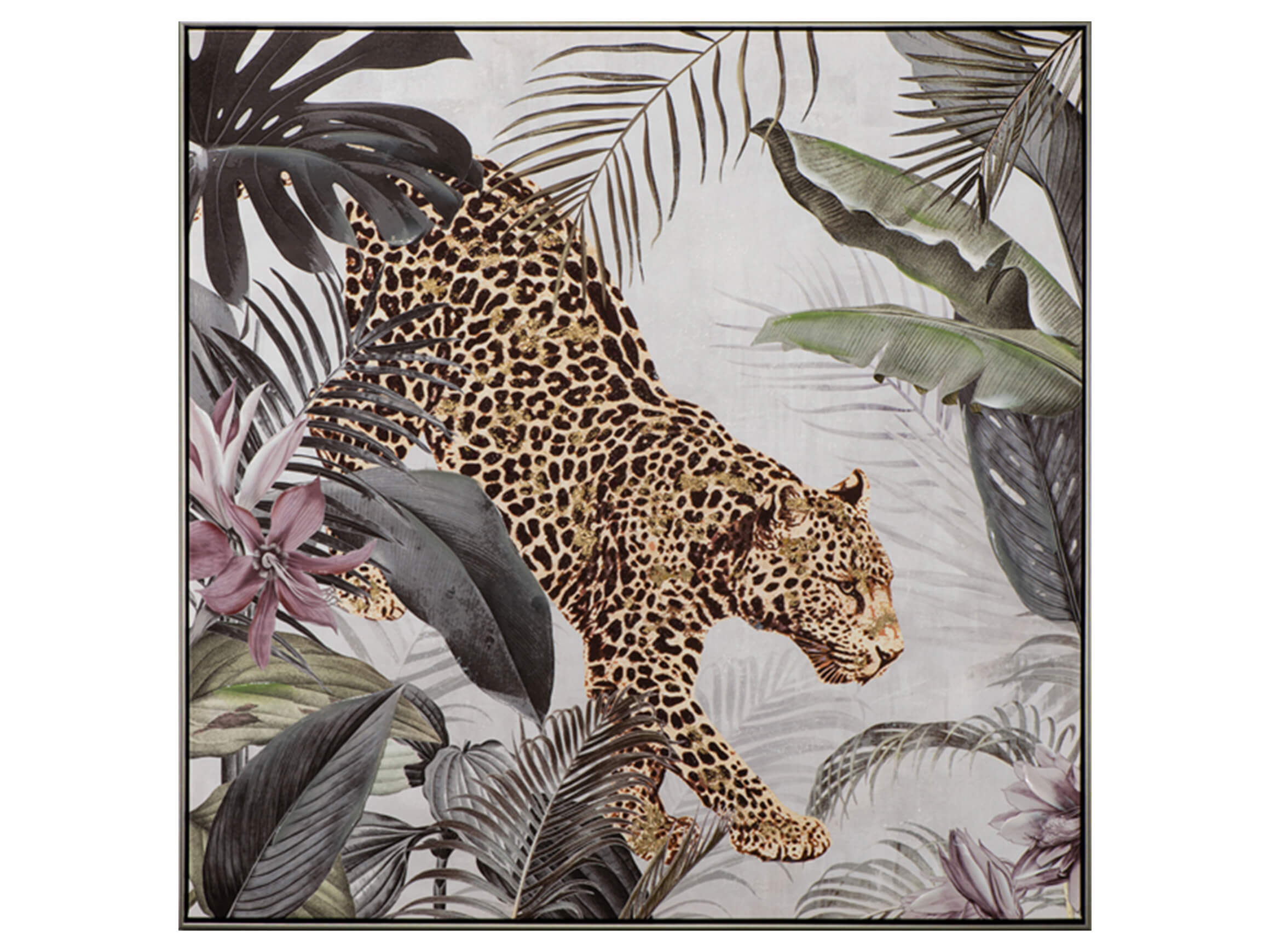 Bild Leopard im Dschungel i image LAND