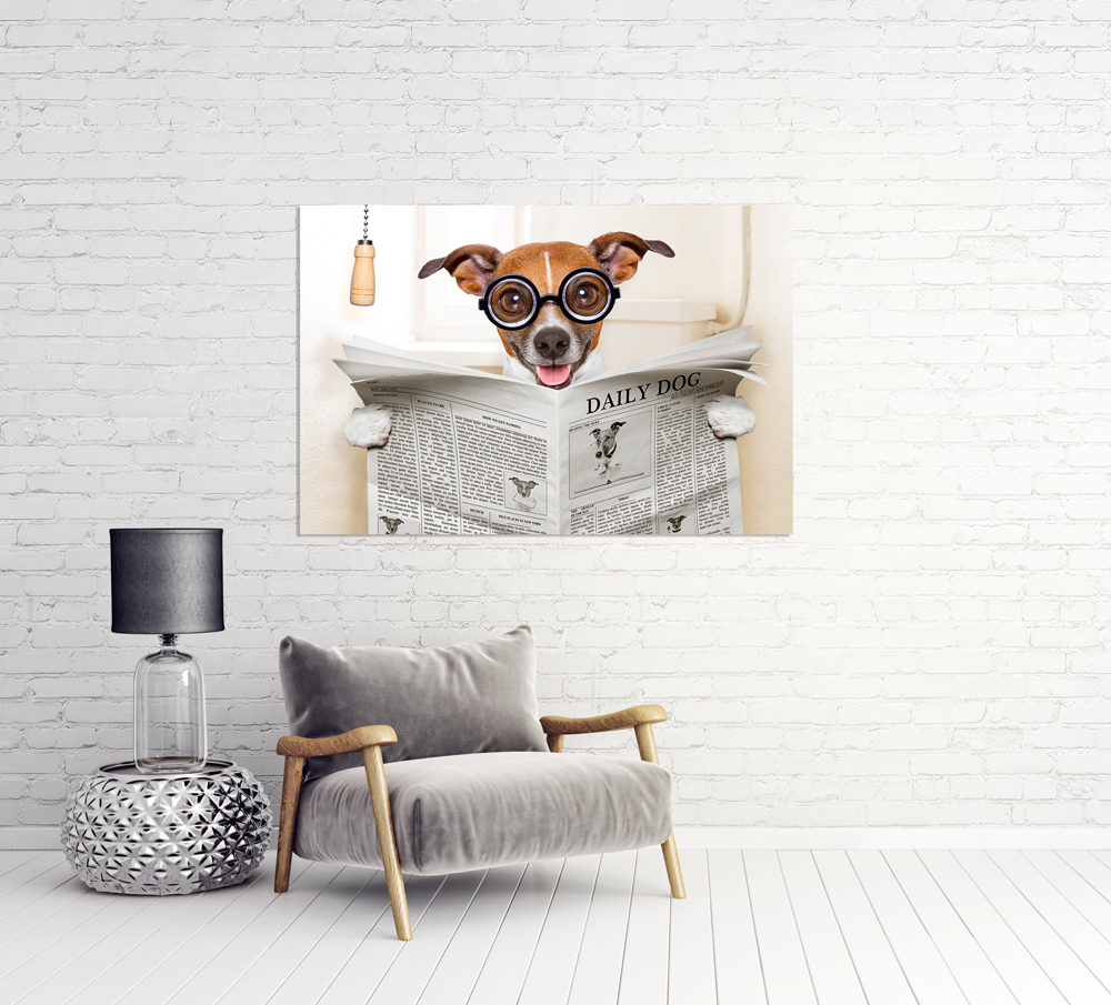 Alubild-Hund mit Zeitung-image LAND