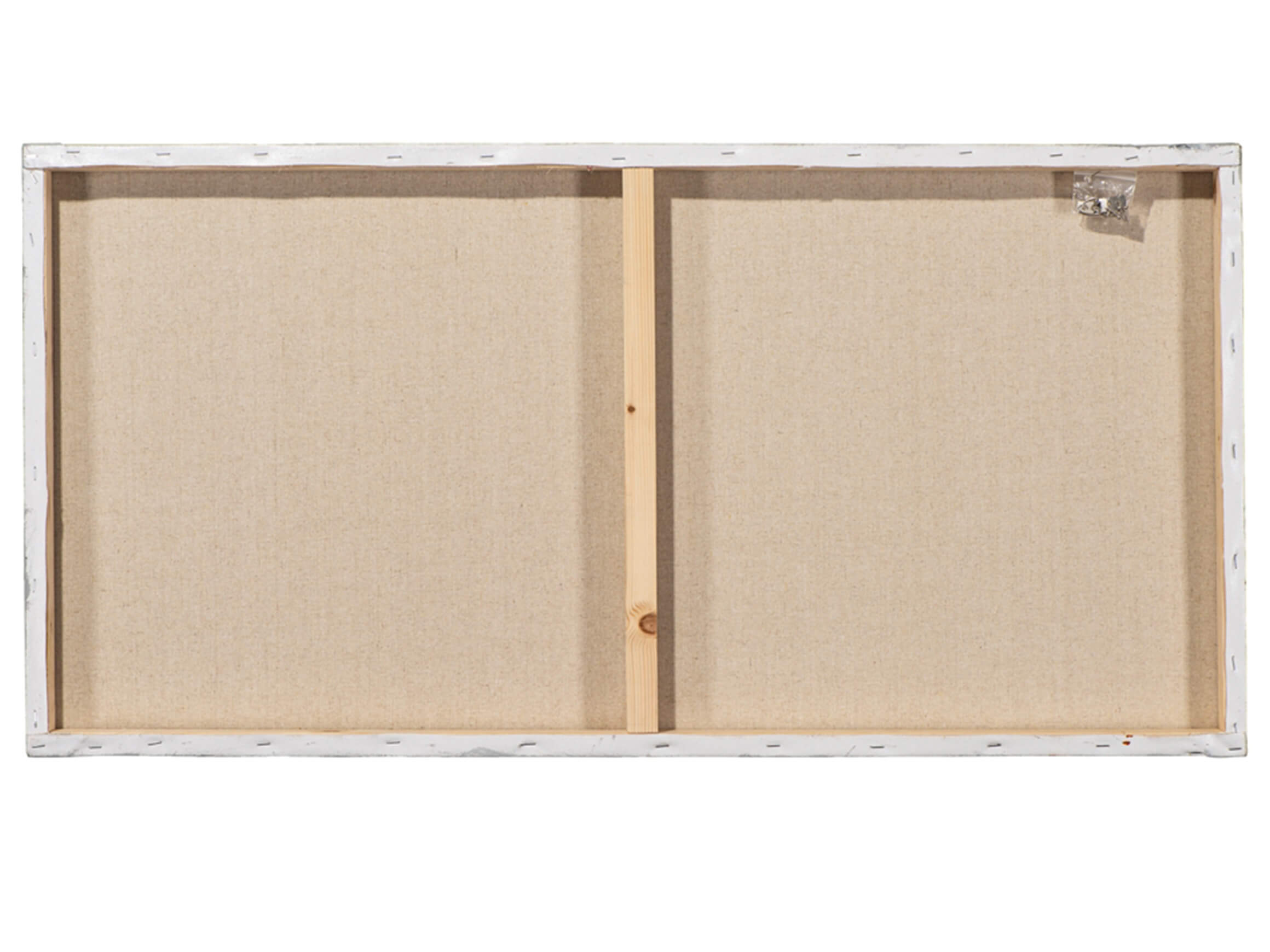 Bild Erstaunte Kühe image LAND