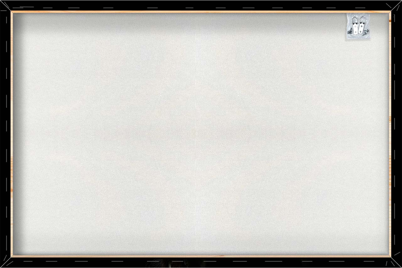 Canvas-Black Panther-image LAND