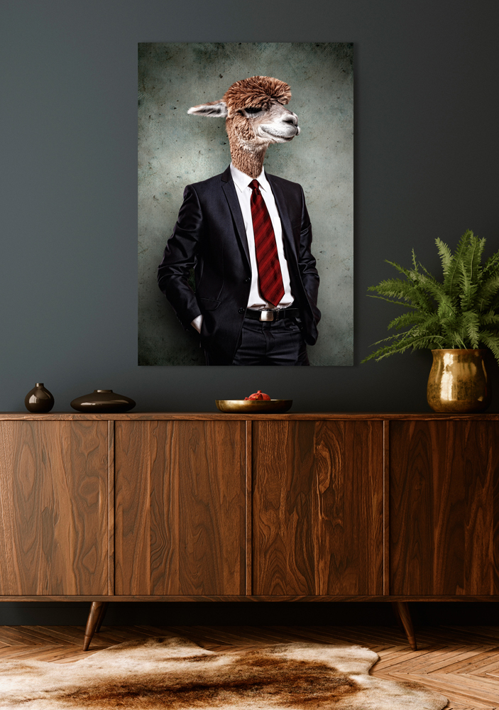 Alubild-Lama im Anzug-image LAND