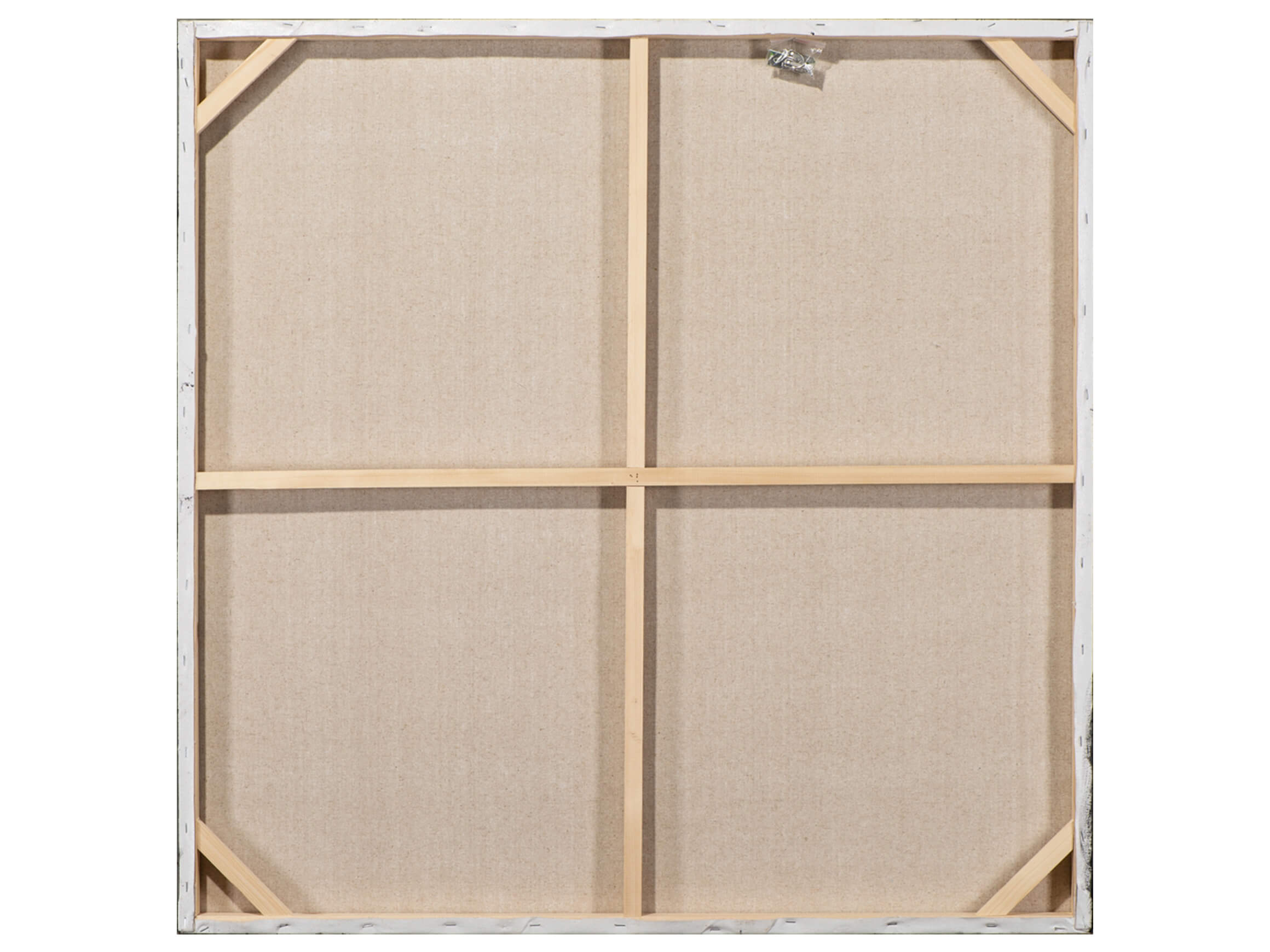 Bild Fischschwarm in Hellblau image LAND / Grösse: 100 x 100 cm