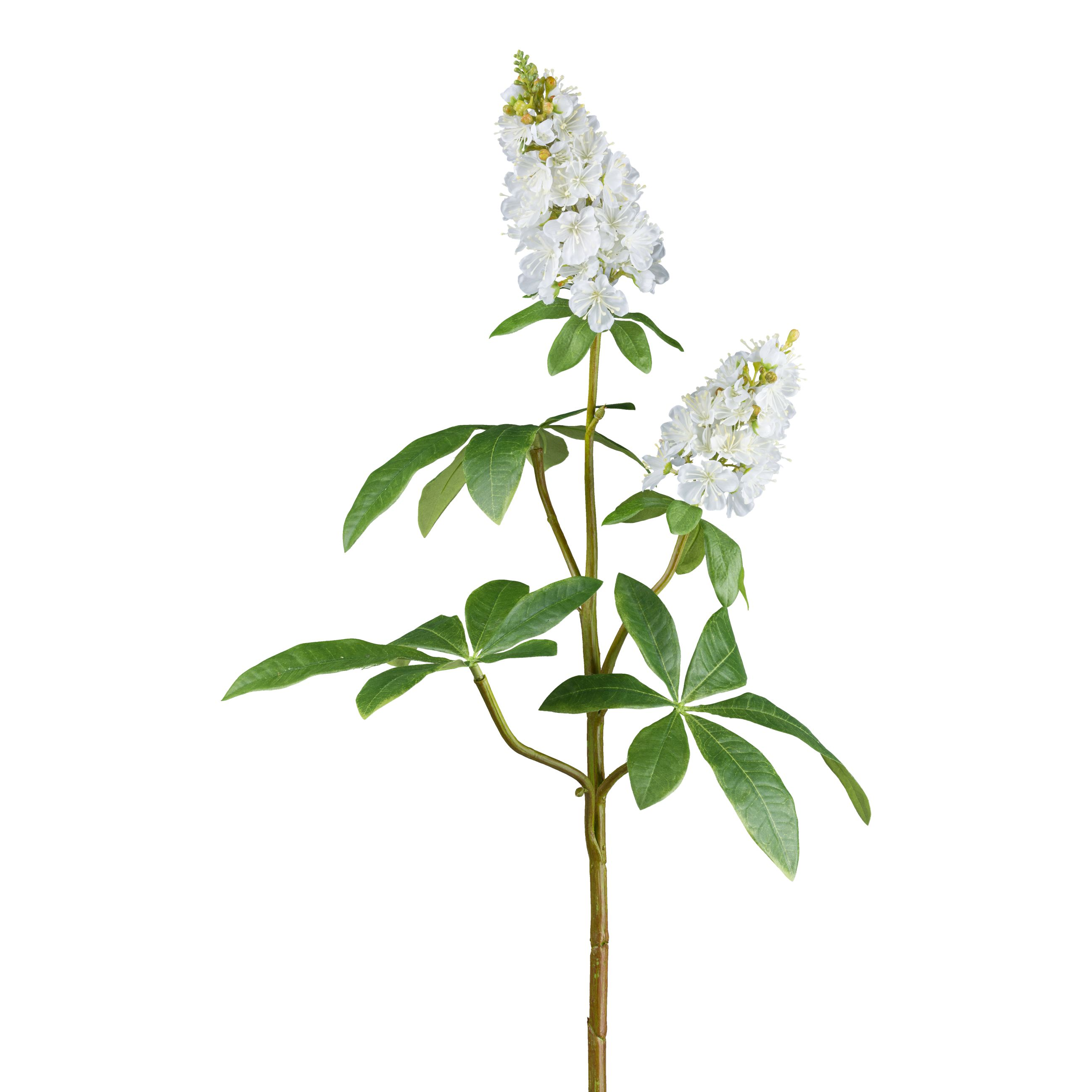 Gasper Kunstblume Kastanie, Weiss  | Schubiger Möbel