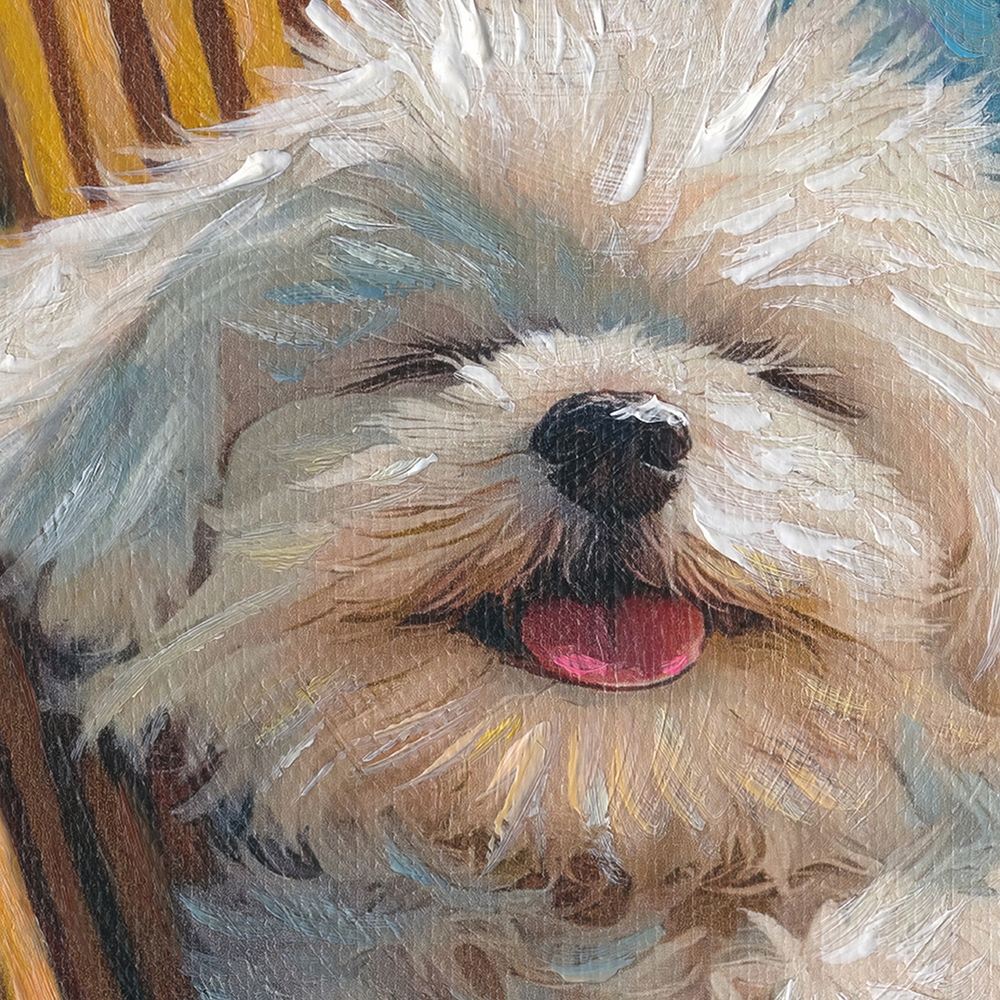 Bild-Fluffy Summer-image LAND