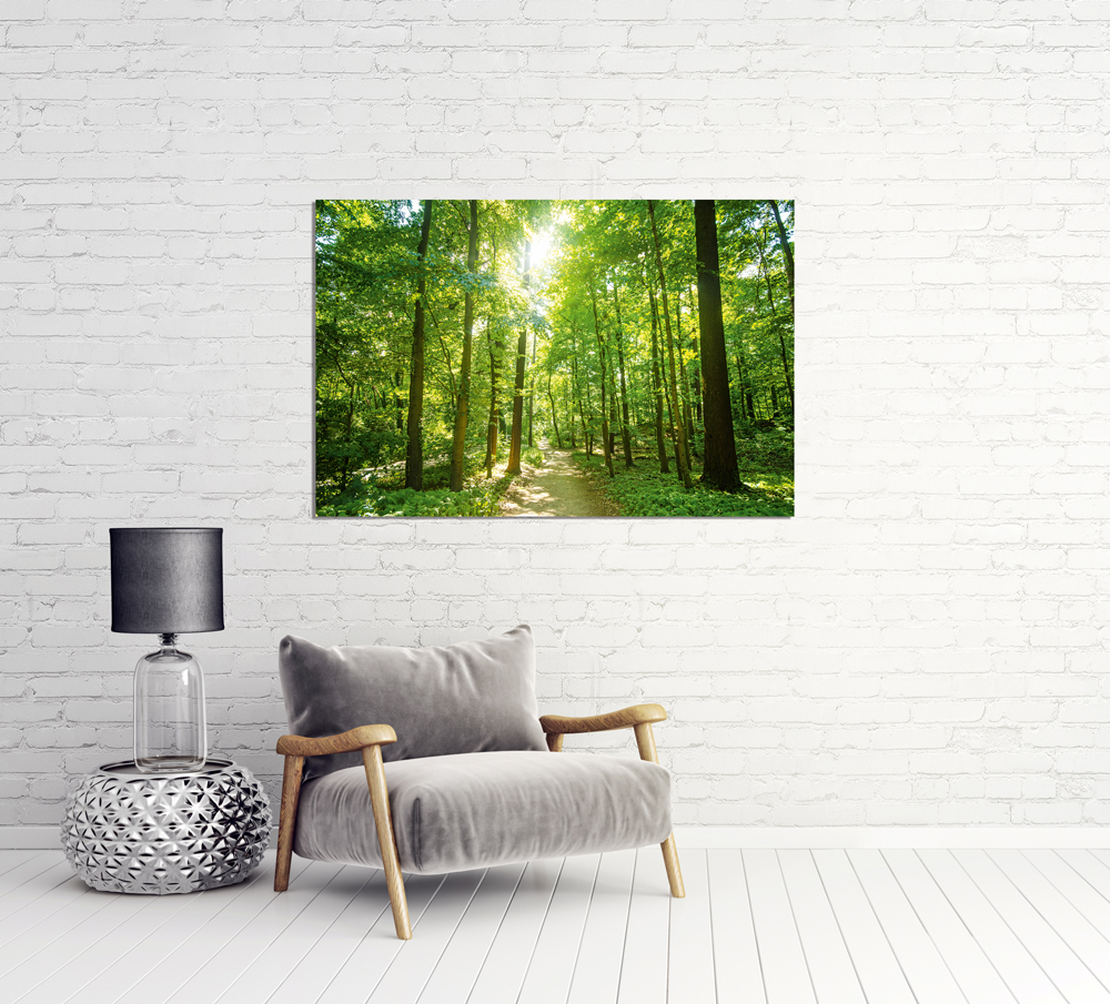 Alubild-Waldweg-image LAND