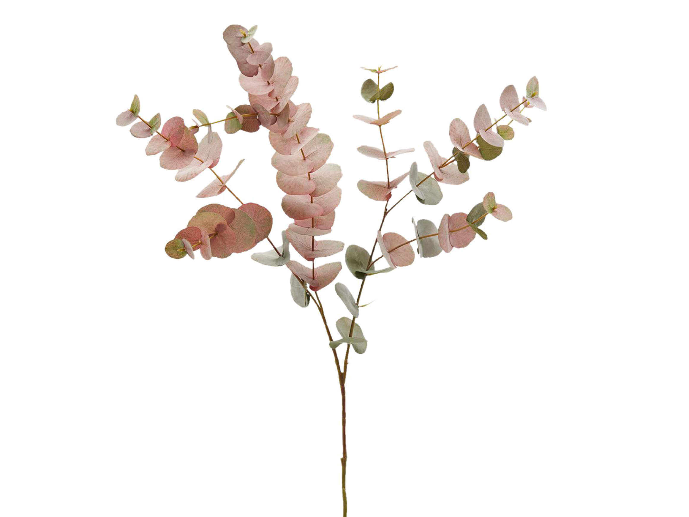 Kunstblume Eukalyptus Grün Rosa H: 100 cm Edg
