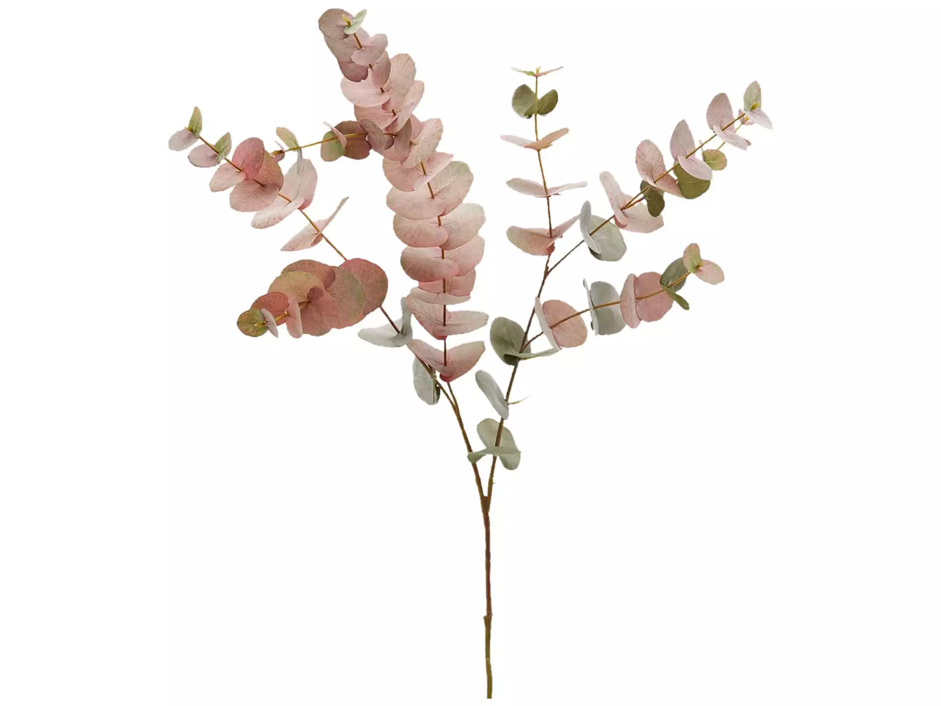 Kunstblume Eukalyptus Grün Rosa H: 100 cm Edg