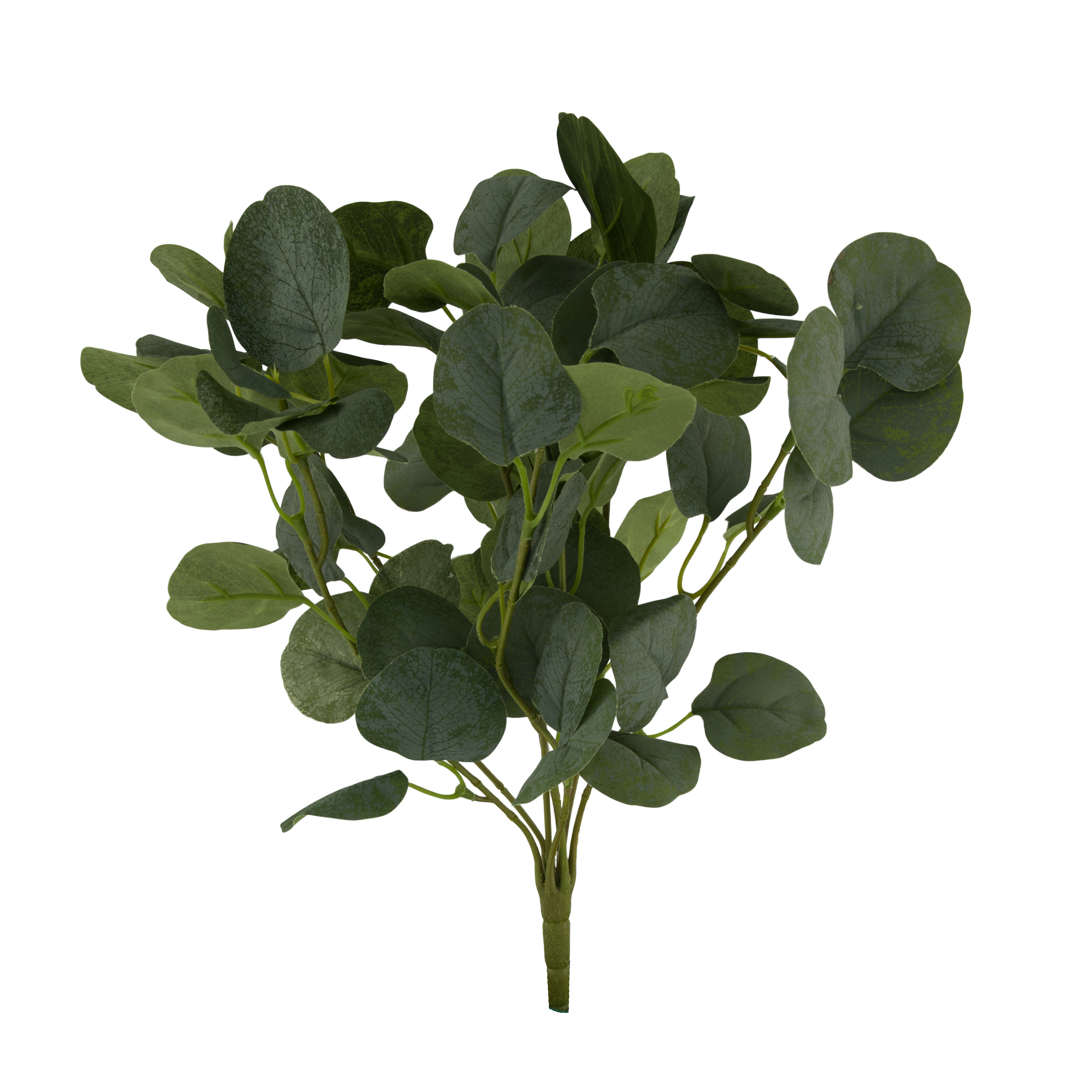 Decofinder Kunstblume Eukalyptus Grün H: 40 cm Grün | Schubiger Möbel