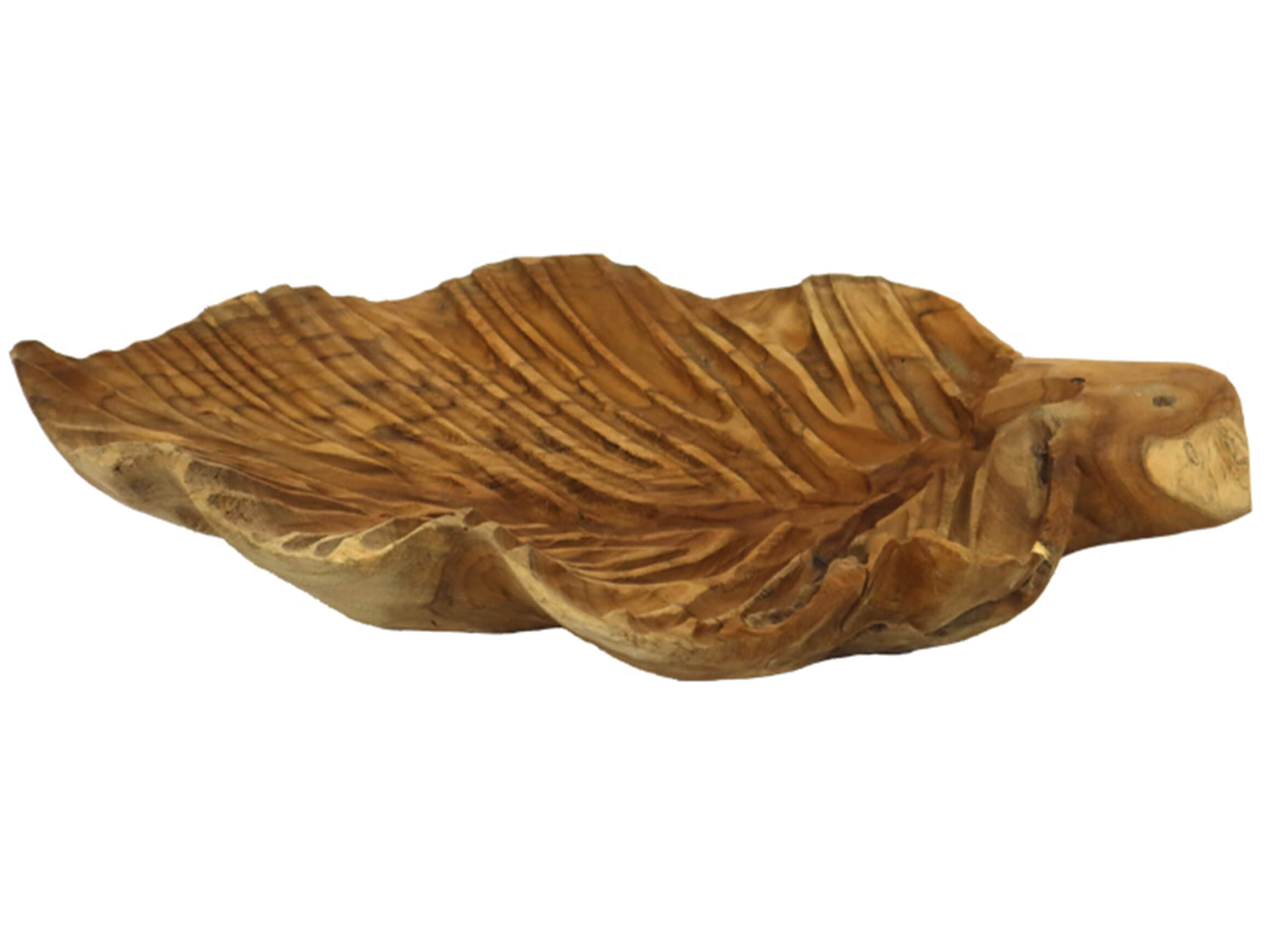 Schale Holzblatt H: 10 cm Dijk