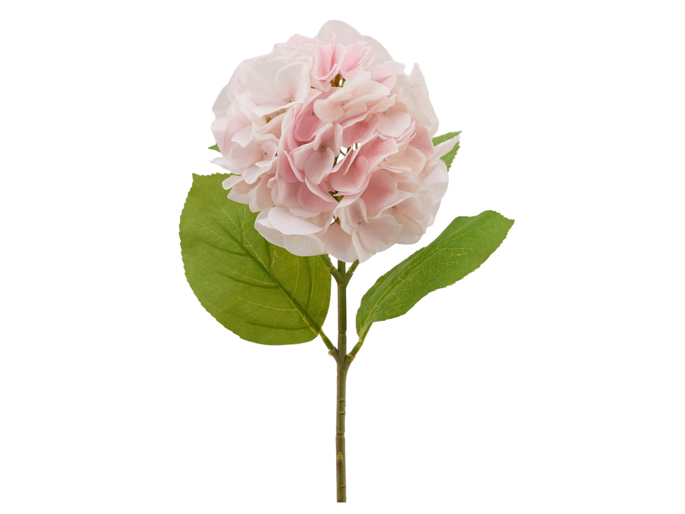 Edg Kunstblumen Hortensie Hellrosa H: 50 cm  | Schubiger Möbel