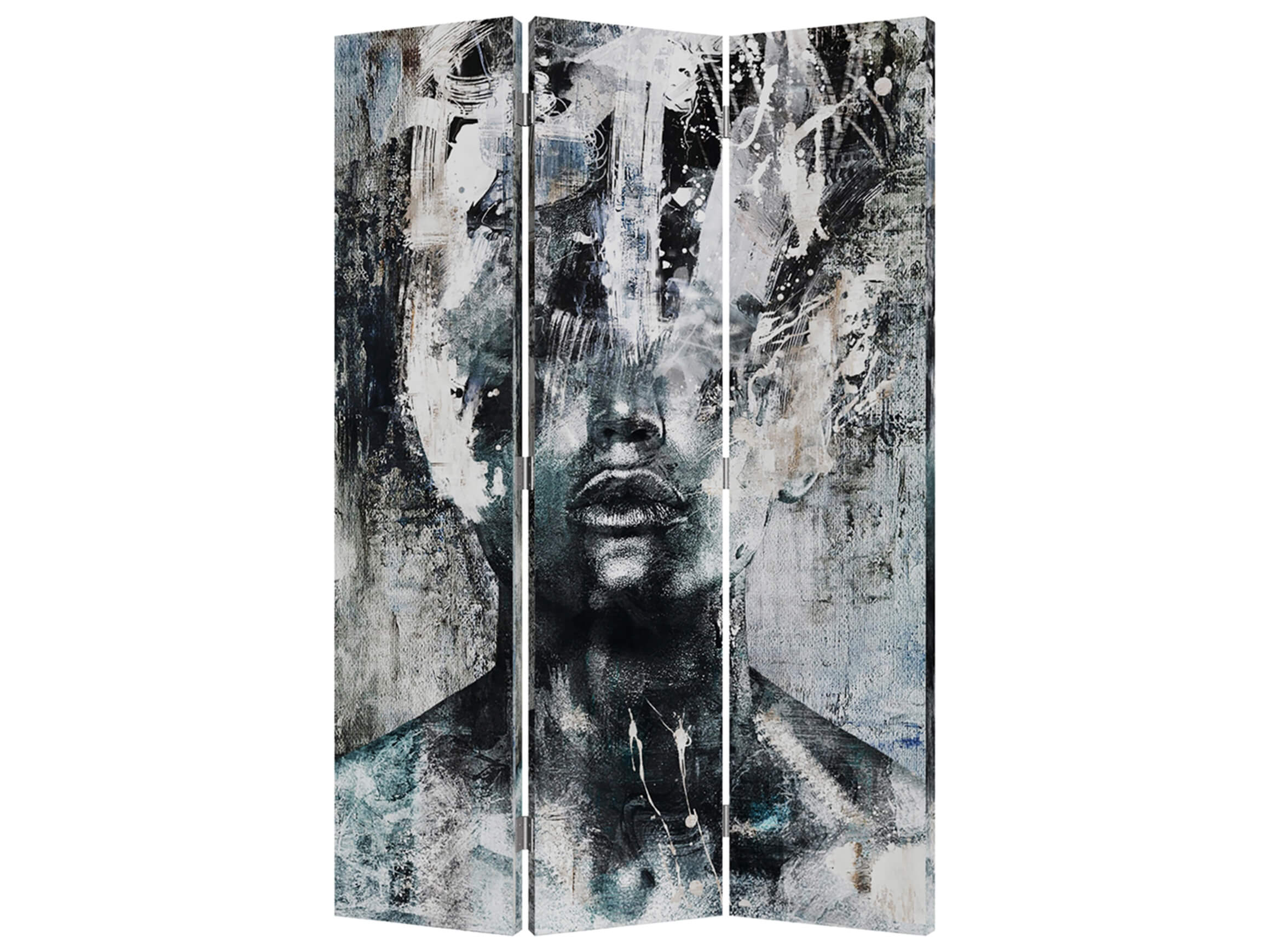 Paravent Street Art Schönheiten Wendemotiv image LAND / Grösse: 180 x 120 cm