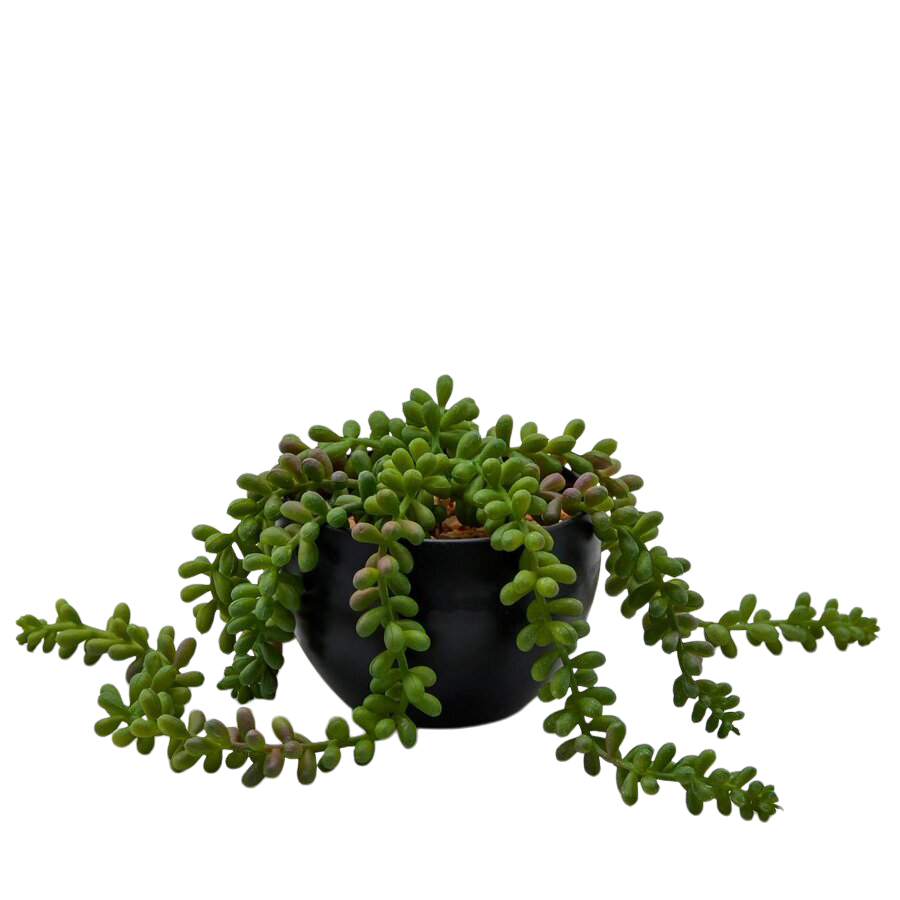 Kunstpflanze Sedum im Topf H: 10 cm Edg