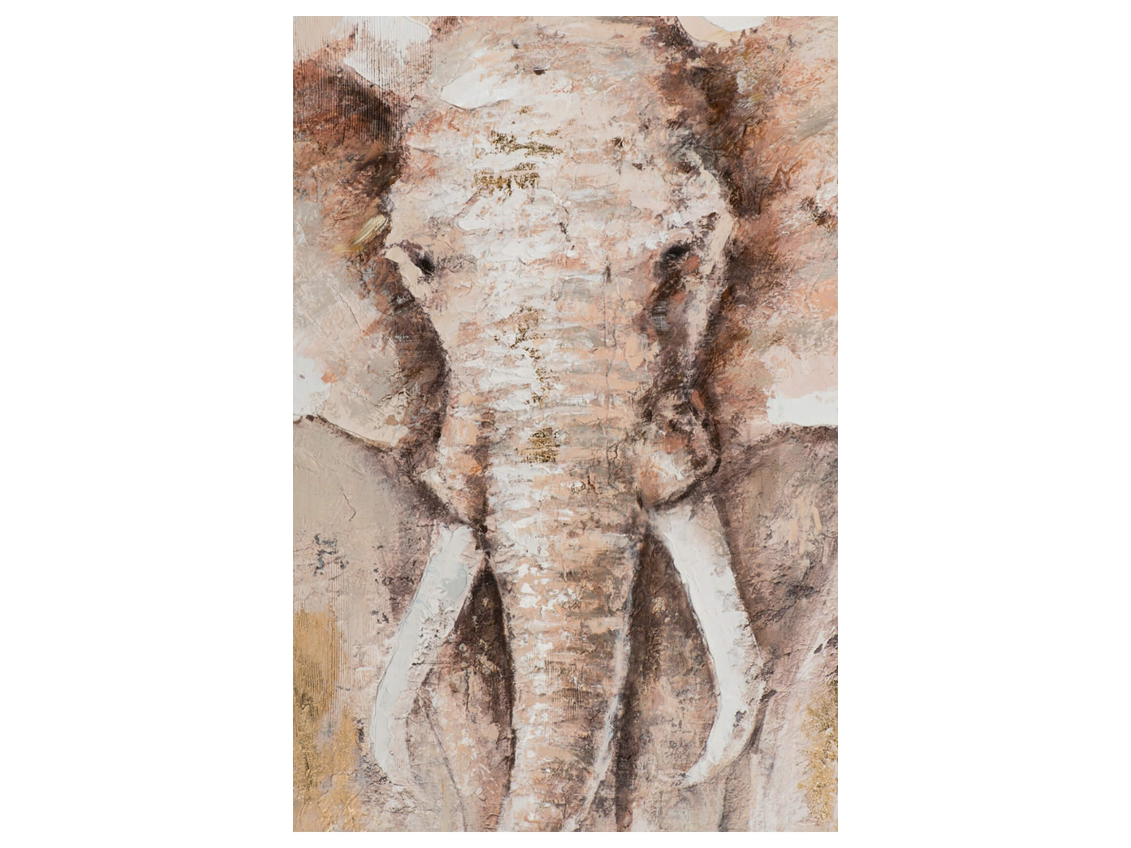Bild Elefant 90x120 cm image LAND