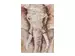 Bild Elefant 90x120 cm image LAND