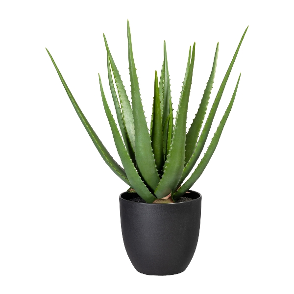 Kunstpflanze Aloe im Kunstofftopf, Grün H: 55 cm Gasper