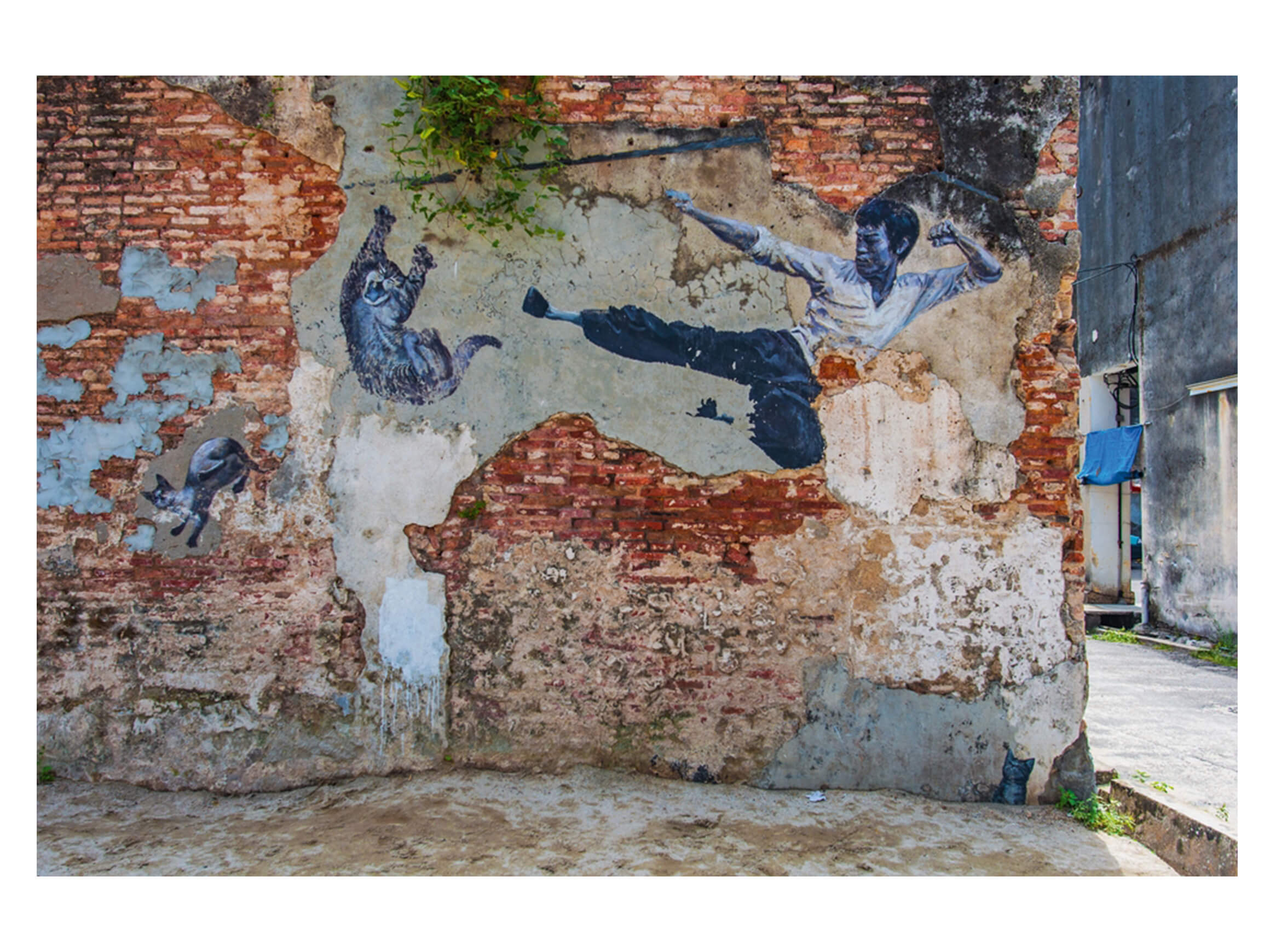 Digitaldruck auf Acrylglas Street Art mit Kämpfer image LAND