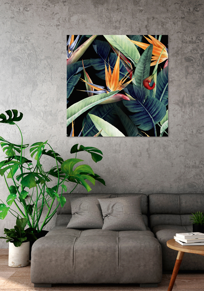 Acrylglasbild-Farbenprächtige Strelitzien-image LAND