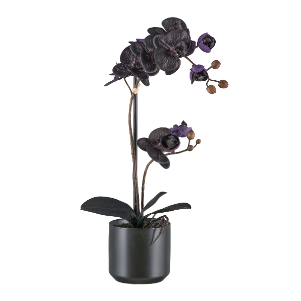 Gasper Kunstpflanzen Phalaenopsis im Keramiktopf, Schwarz  | Schubiger Möbel