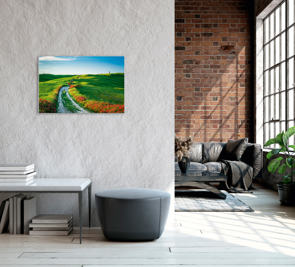 Bild mit Rahmen-Wegesrand mit Mohn-image LAND
