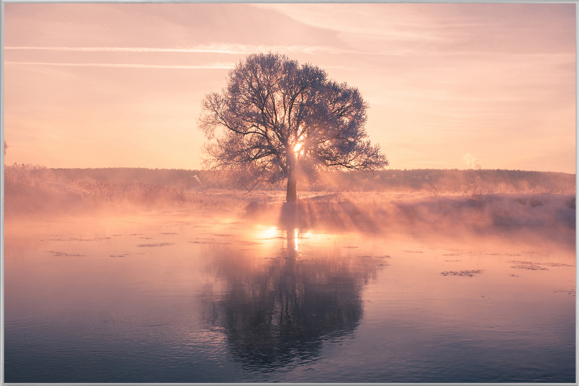 Bild mit Rahmen-Baum mit Spiegelung-image LAND