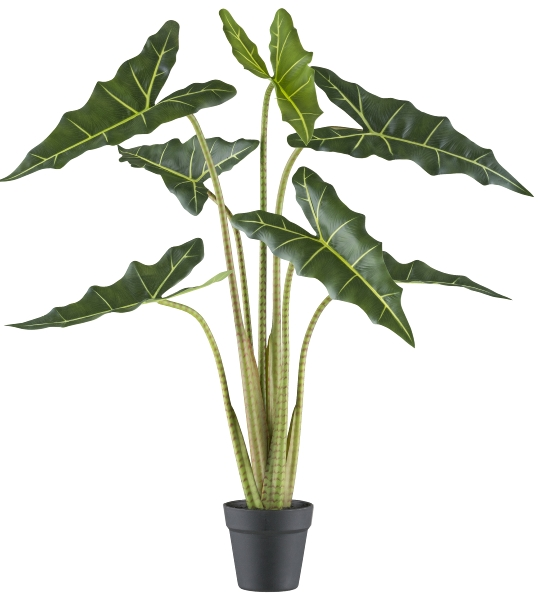 Gasper Kunstpflanzen Alocasia Zebrina Sarian im Kunststofftopf H: 100 c  | Schubiger Möbel
