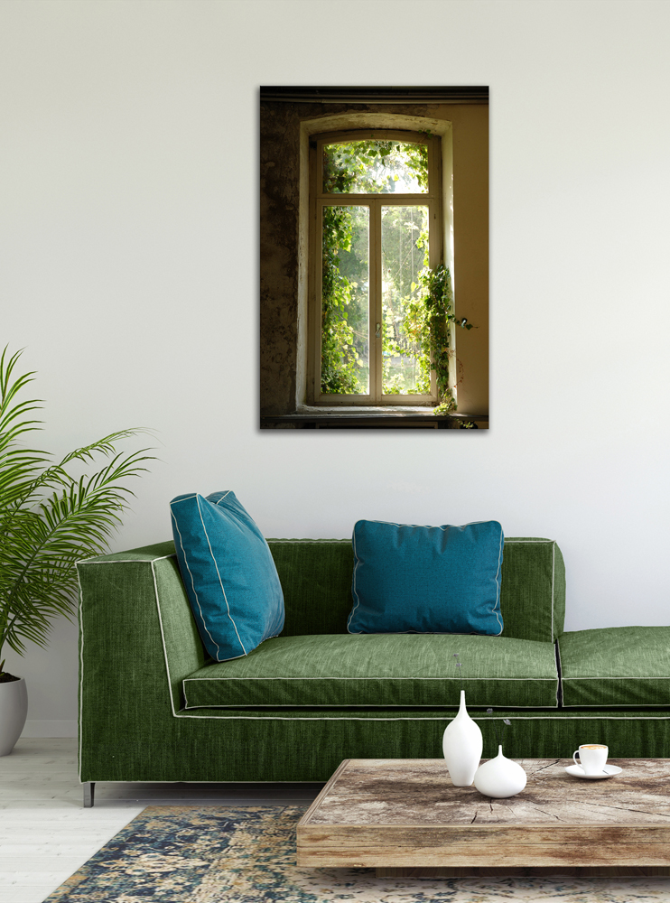Alubild-Fenster Bewachsen mit Laub-image LAND
