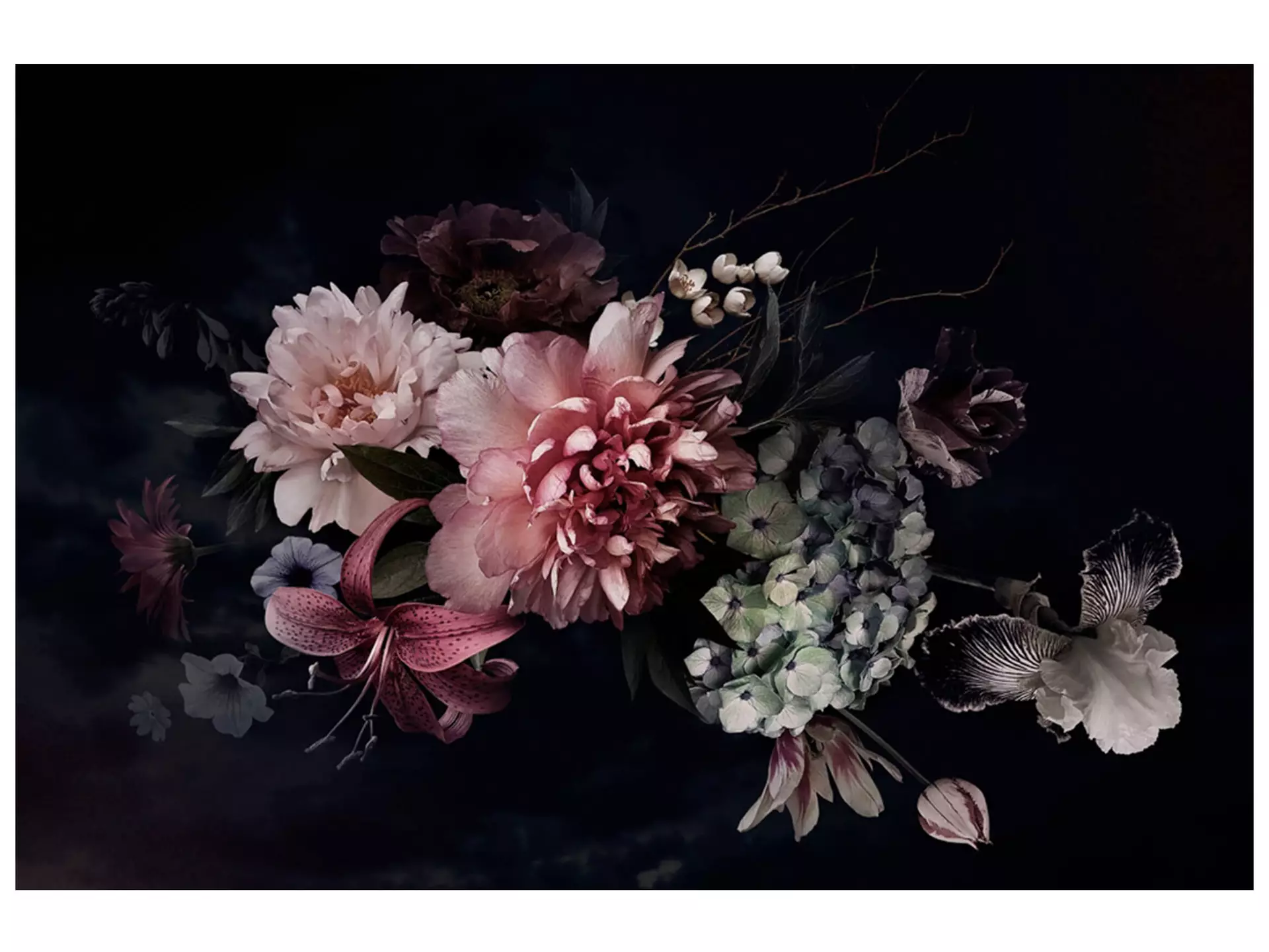 Digitaldruck auf Glas Blüten in Purpurrot image LAND
