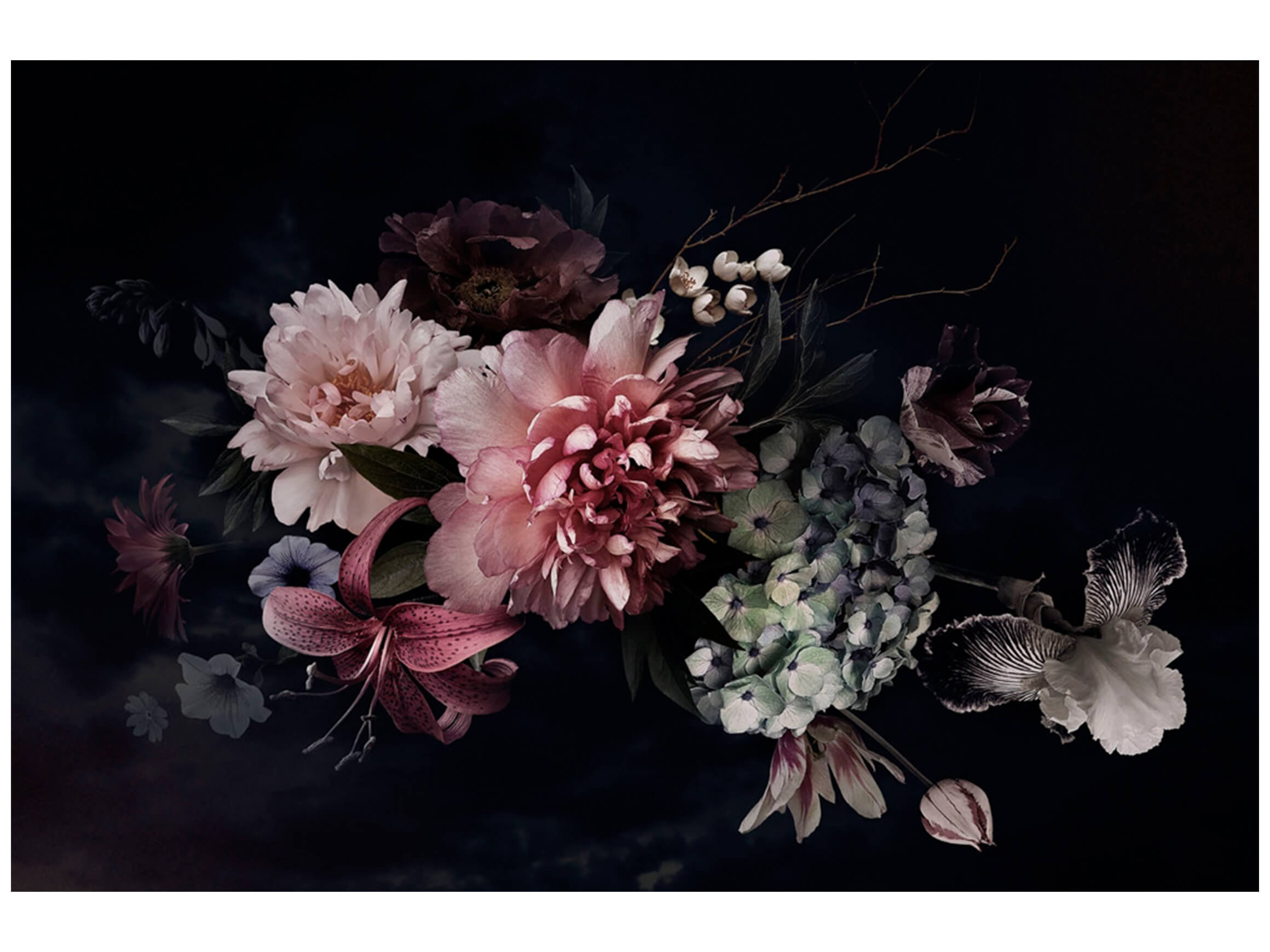 Digitaldruck auf Glas Blüten in Purpurrot image LAND