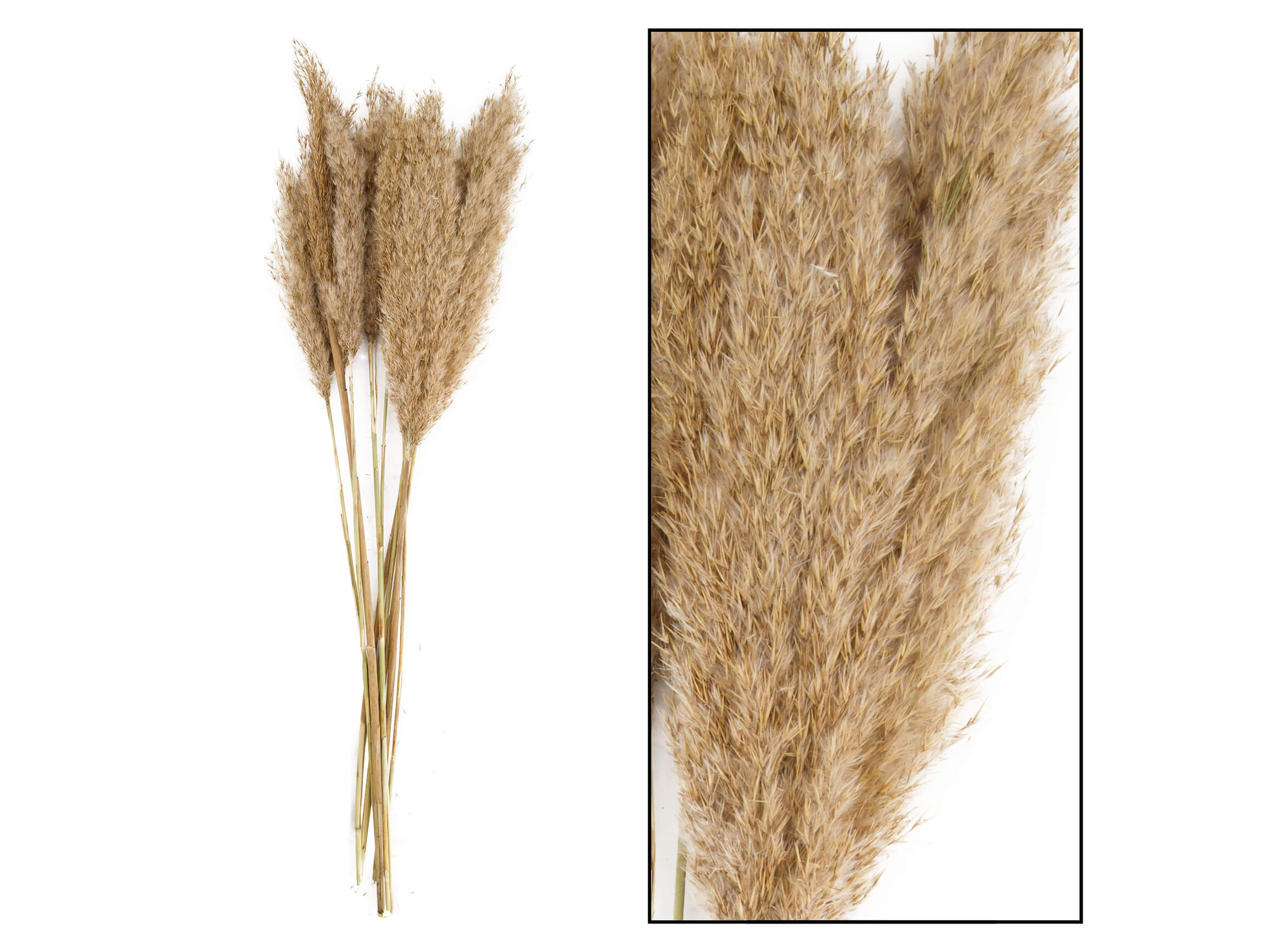 Kunstblumen Federrohr T: 70 cm Decofinder