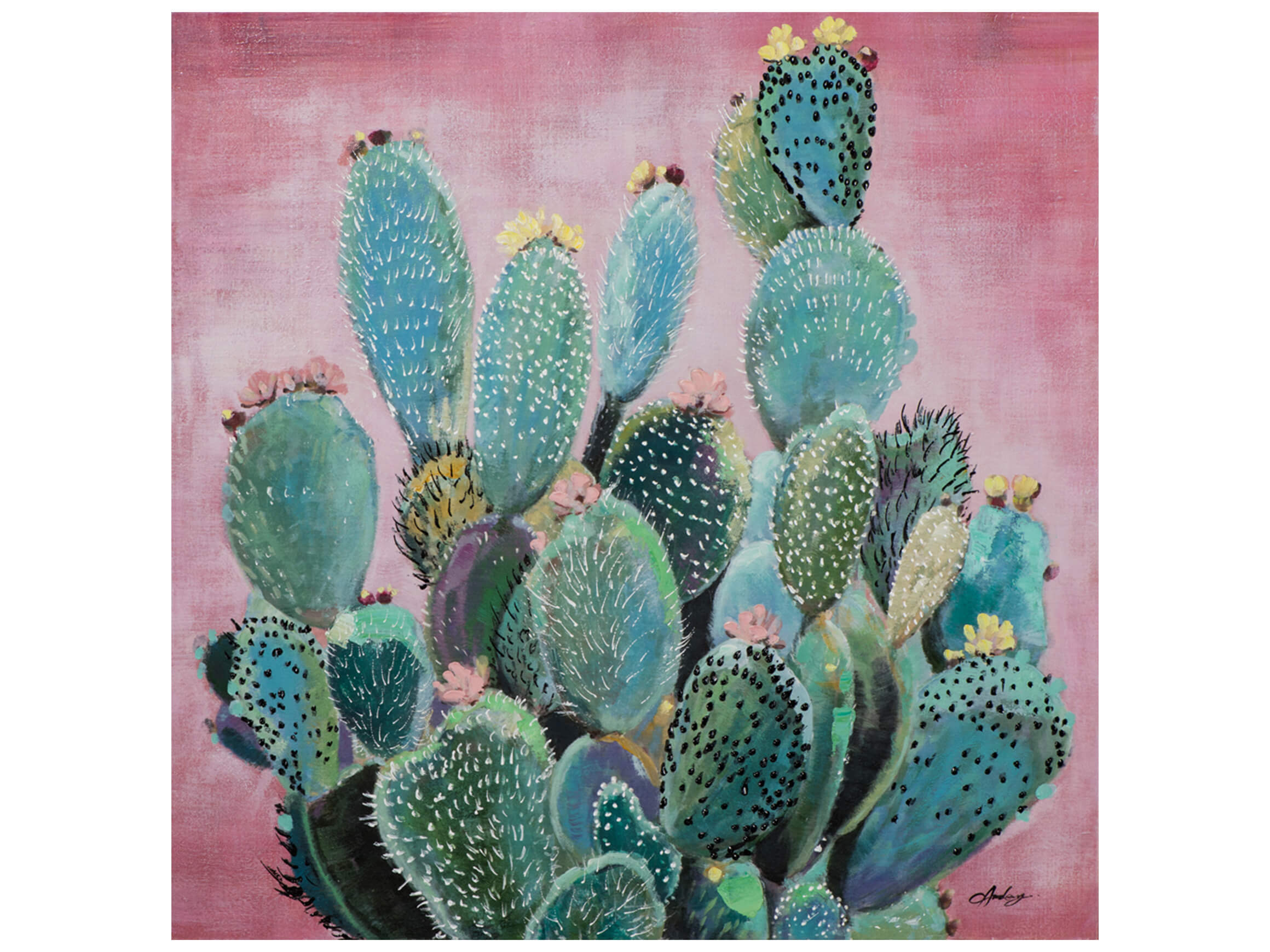 Bild Grüne Kakteen Vor Rosa Hintergrund image LAND