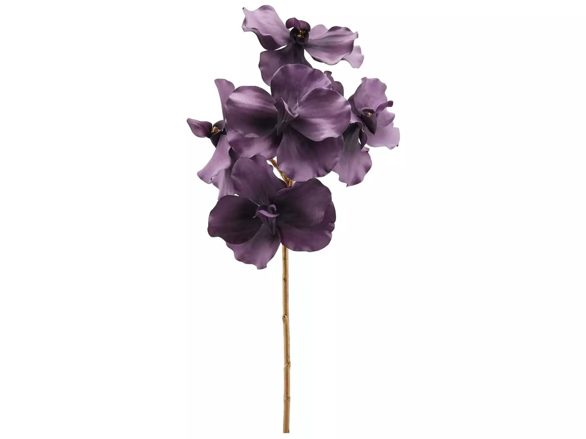 Kunstblume Wanda Orchidee Very Perry H: 59 cm Edg