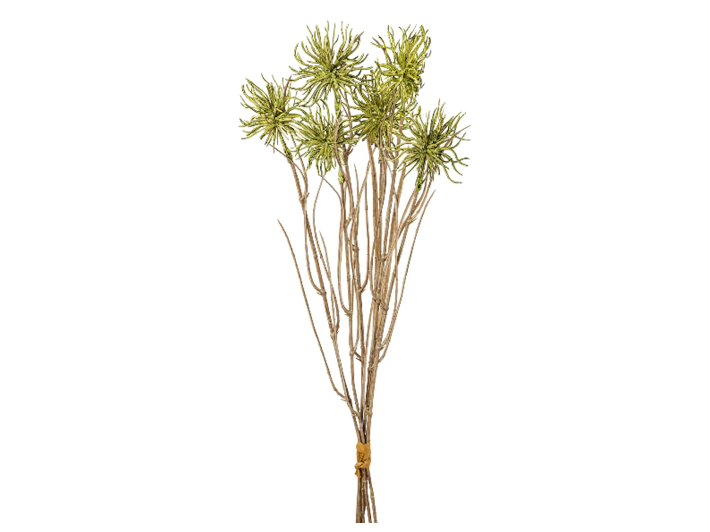 Gasper Kunstblume Urchinzweig-Bund Grün H: 43 cm  | Schubiger Möbel