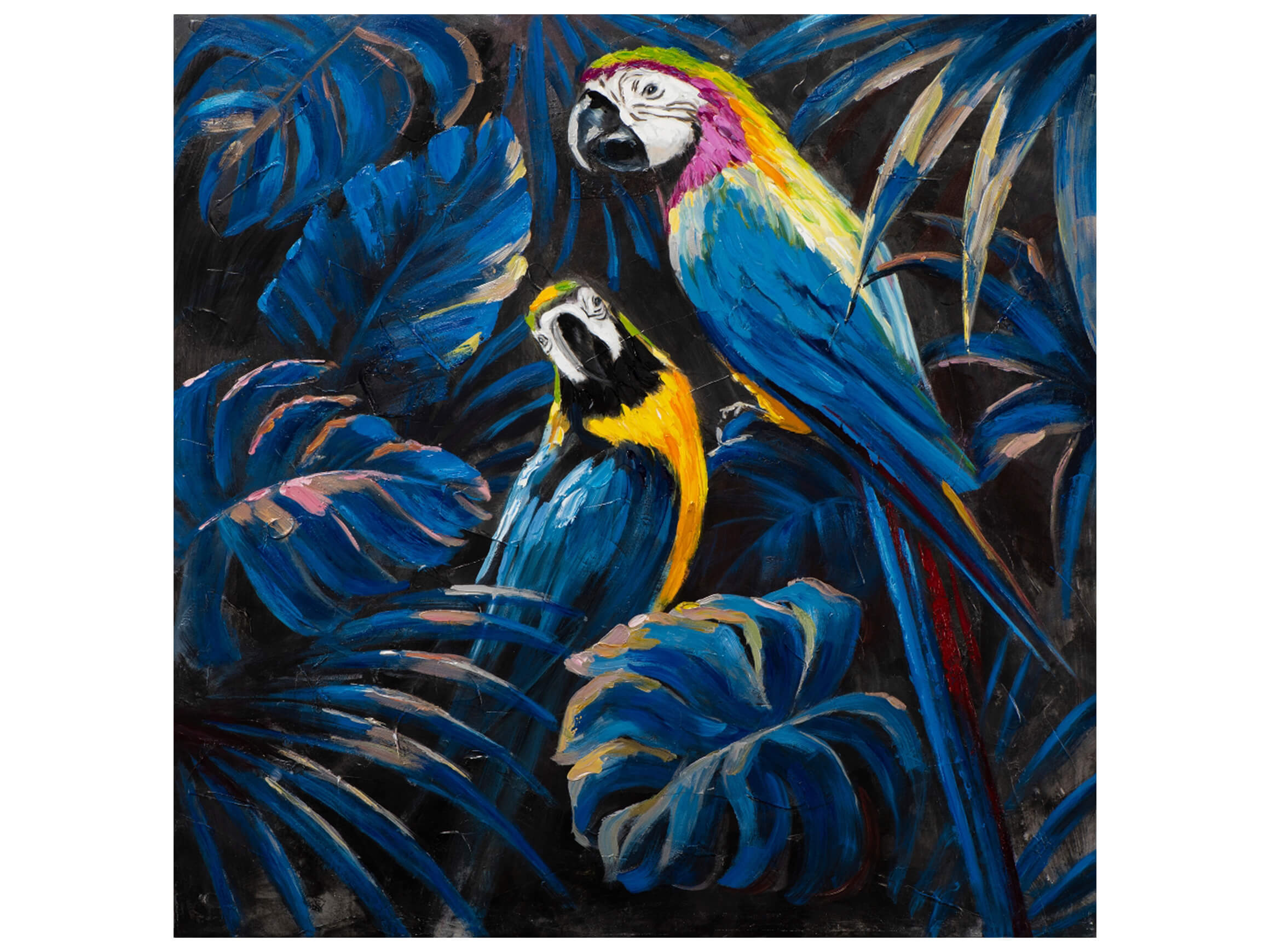 Bild Verliebte Ara Papageien image LAND