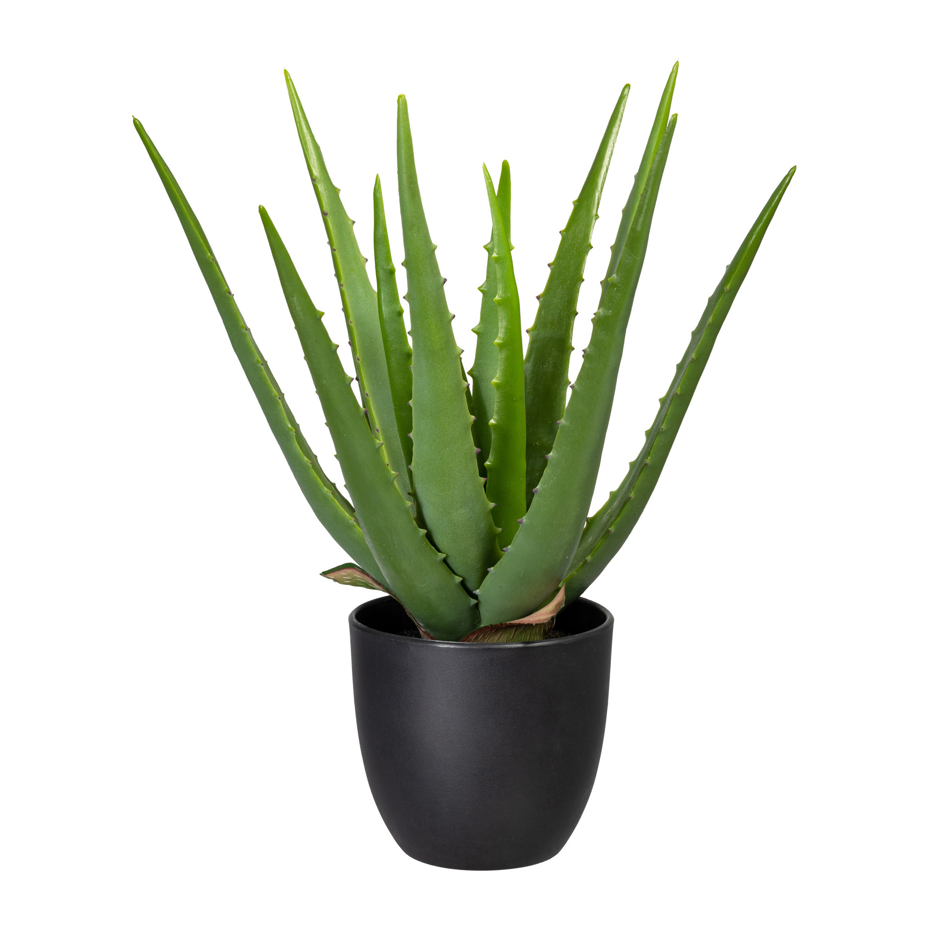 Gasper Kunstpflanze Aloe im Kunststofftopf, Grün  | Schubiger Möbel