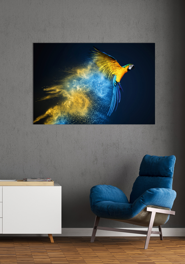 Alubild-Papagei in Blau und Gelb-image LAND
