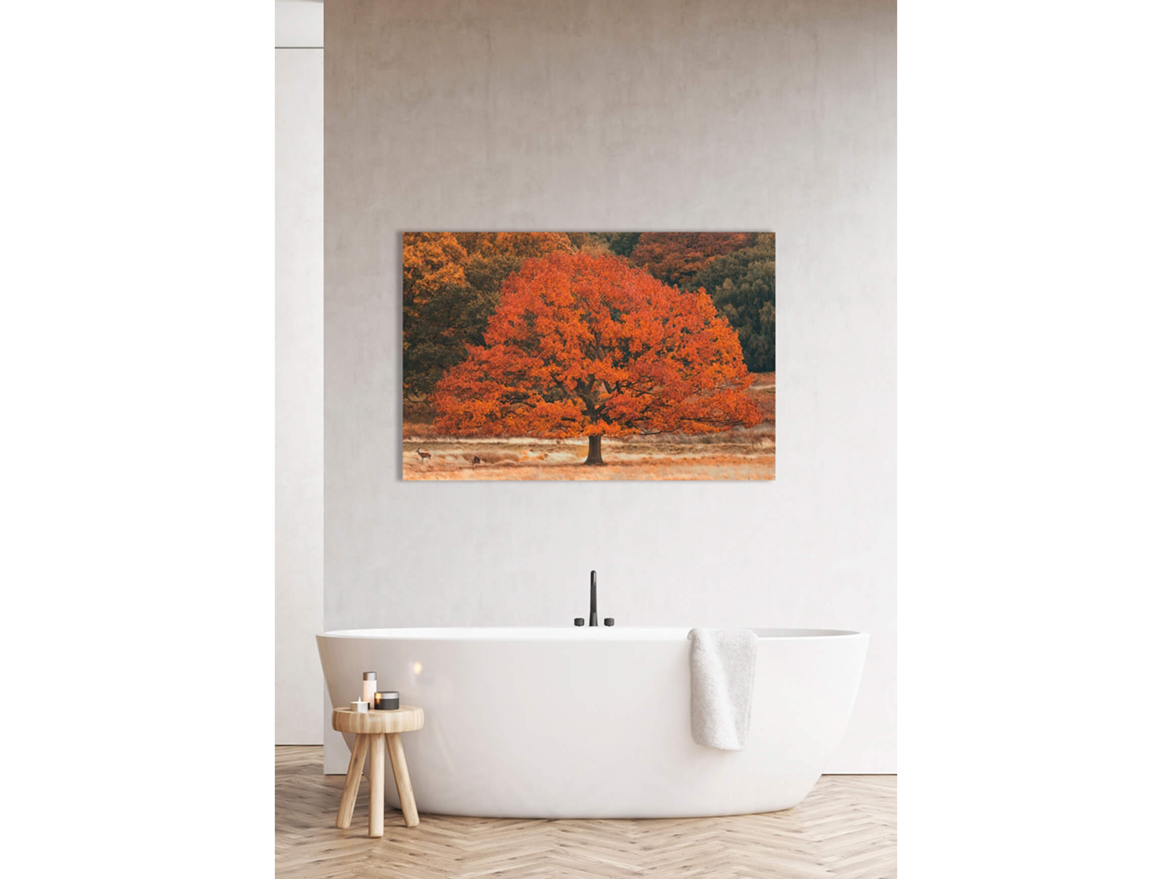 Digitaldruck auf Acrylglas Herbstbaum image LAND / Grösse: 120 x 80 cm