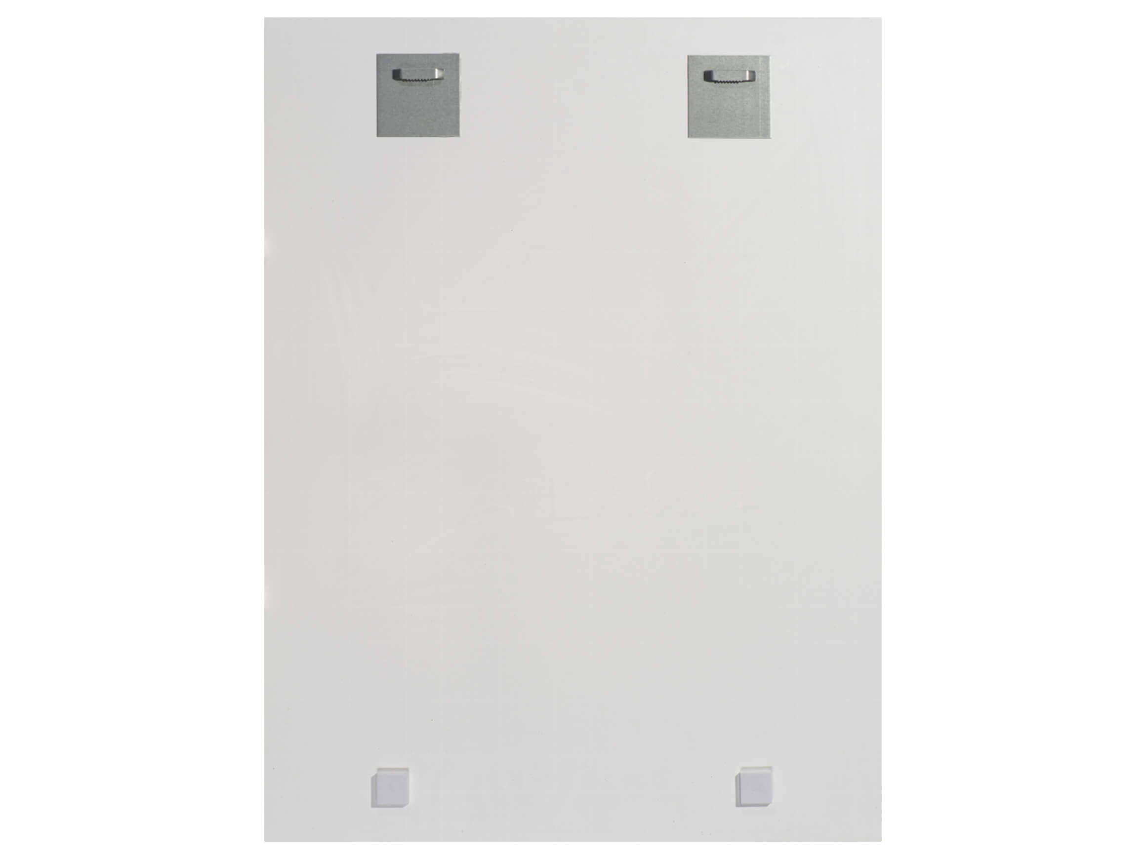 Bild Ägyptische Katze image LAND