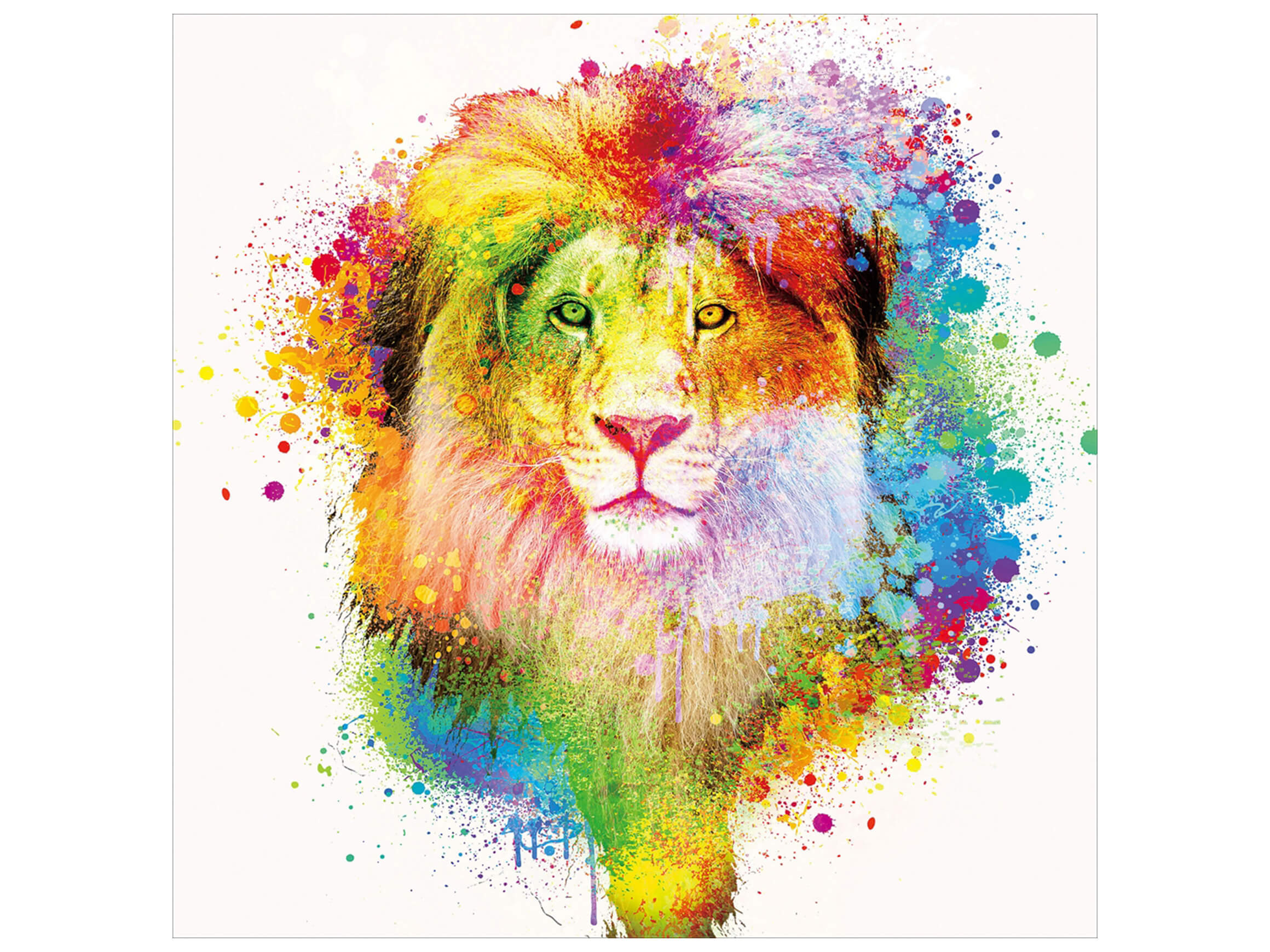 Digitaldruck auf Glas Farbkomposition König Der Löwen Auf Weissem Hinter image LAND
