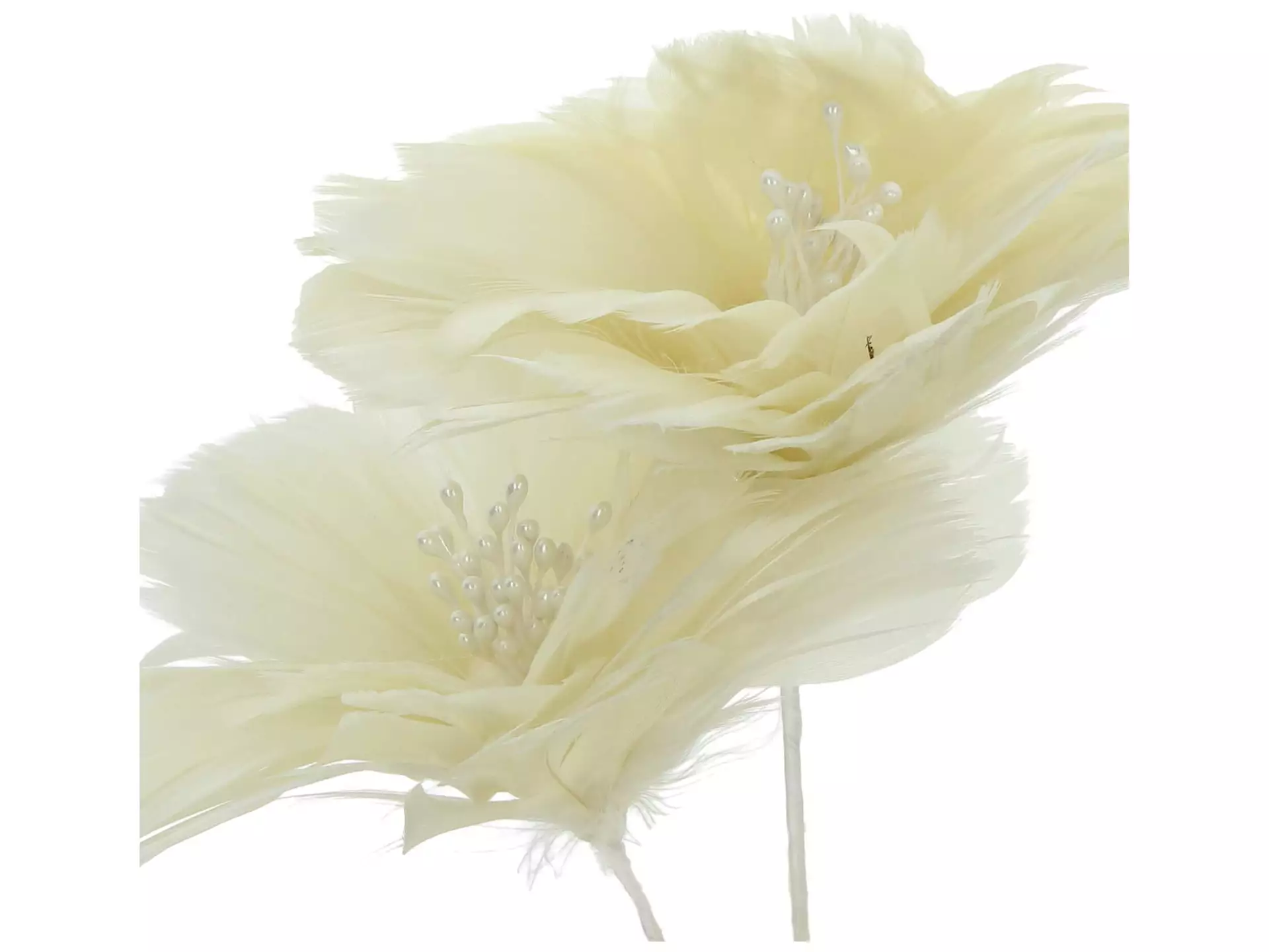 Kunstblume Federblume Creme H: 75 cm Kersten / Farbe: Weiss