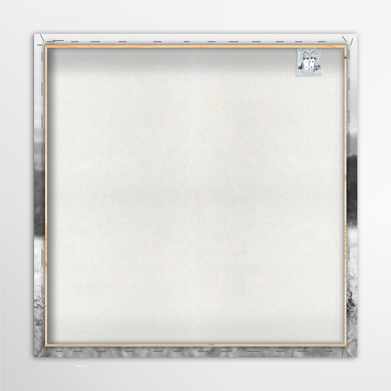 Canvas-Elefant in Der Steppe-image LAND