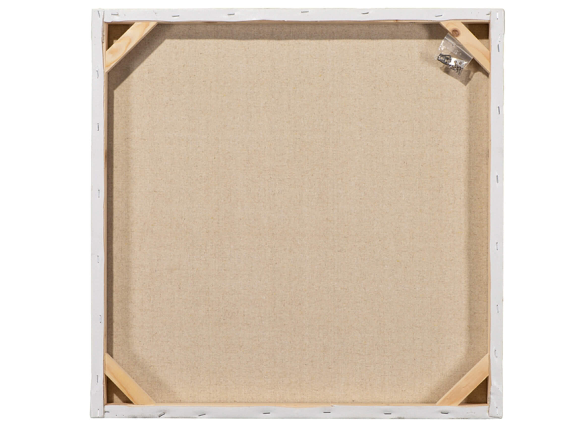 Bild Fischende Möwen image LAND / Grösse: 123 x 83 cm